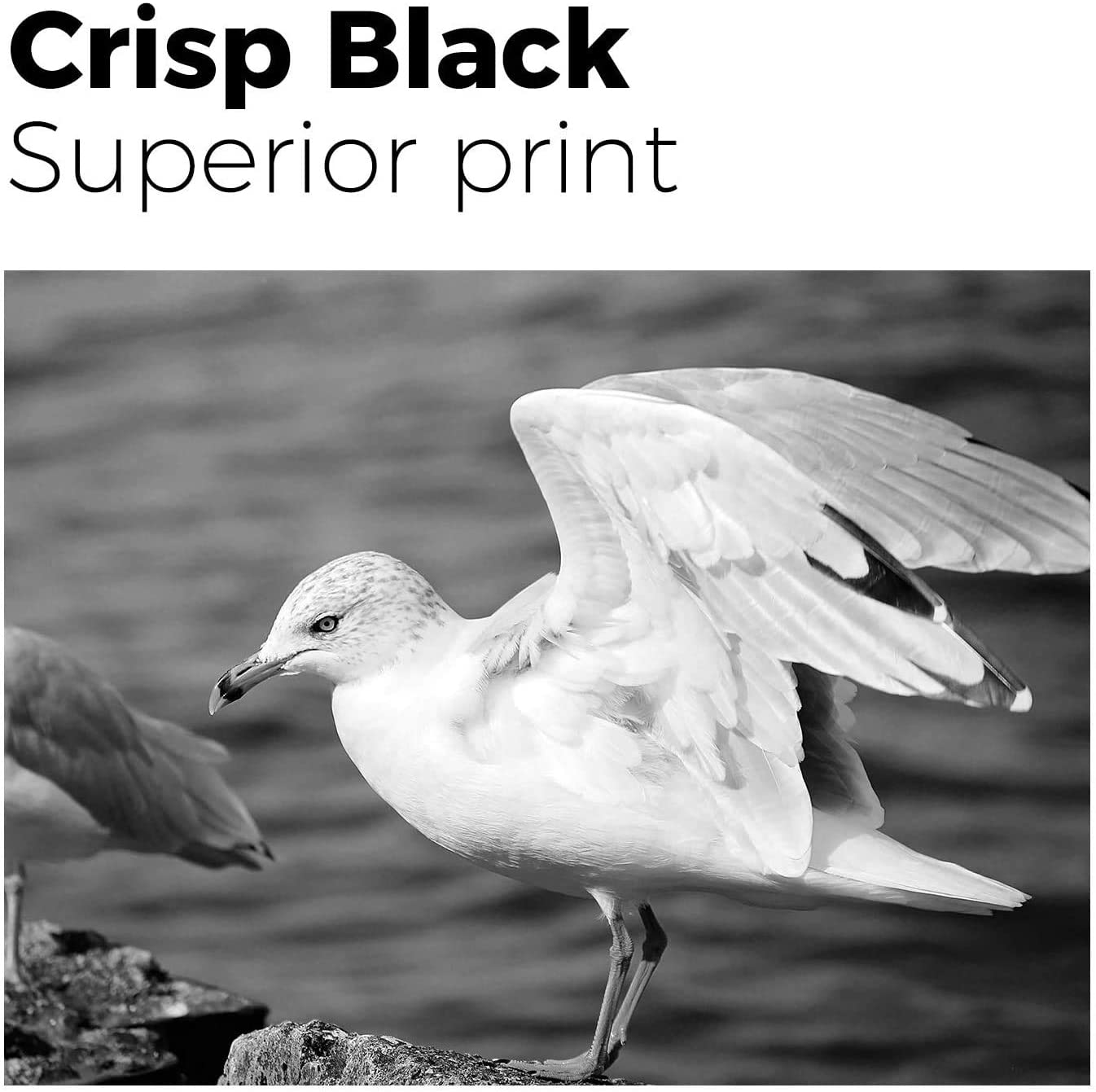 10 Pack Generic 220XL Ink Cartridge Compatible with Epson Workforce WF-2760 WF-2750 WF-2630 WF-2650 WF-2660 Expression Home XP-320 XP-420 XP-220 XP-324（4BK.2C,2M,2Y image number 3