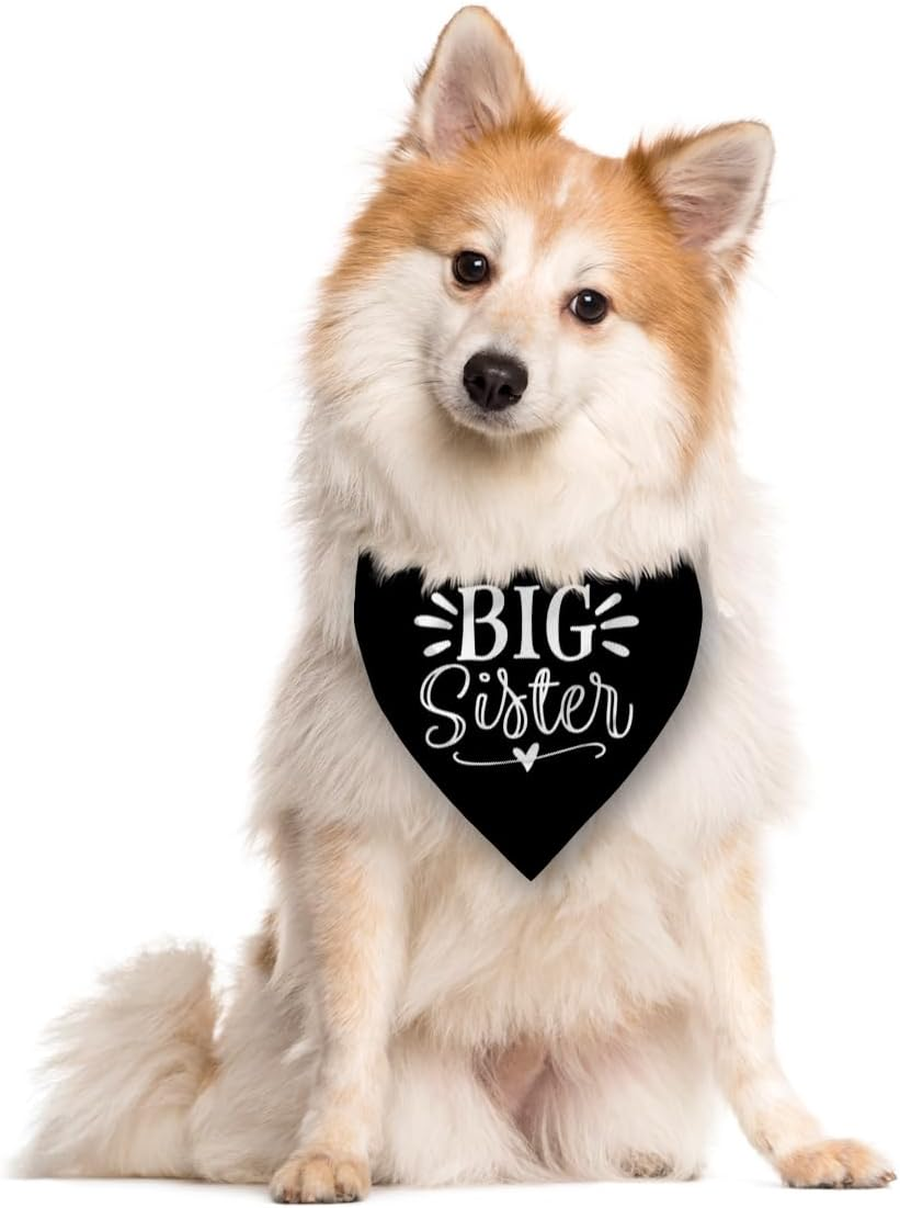 Big Sister Bandana for Dog, Pet Pregnancy Announcement, Black Dog Bandana, Big Sister Dogs Shirt, Pet Bandana for Small Medium Dogs (M) image number 4