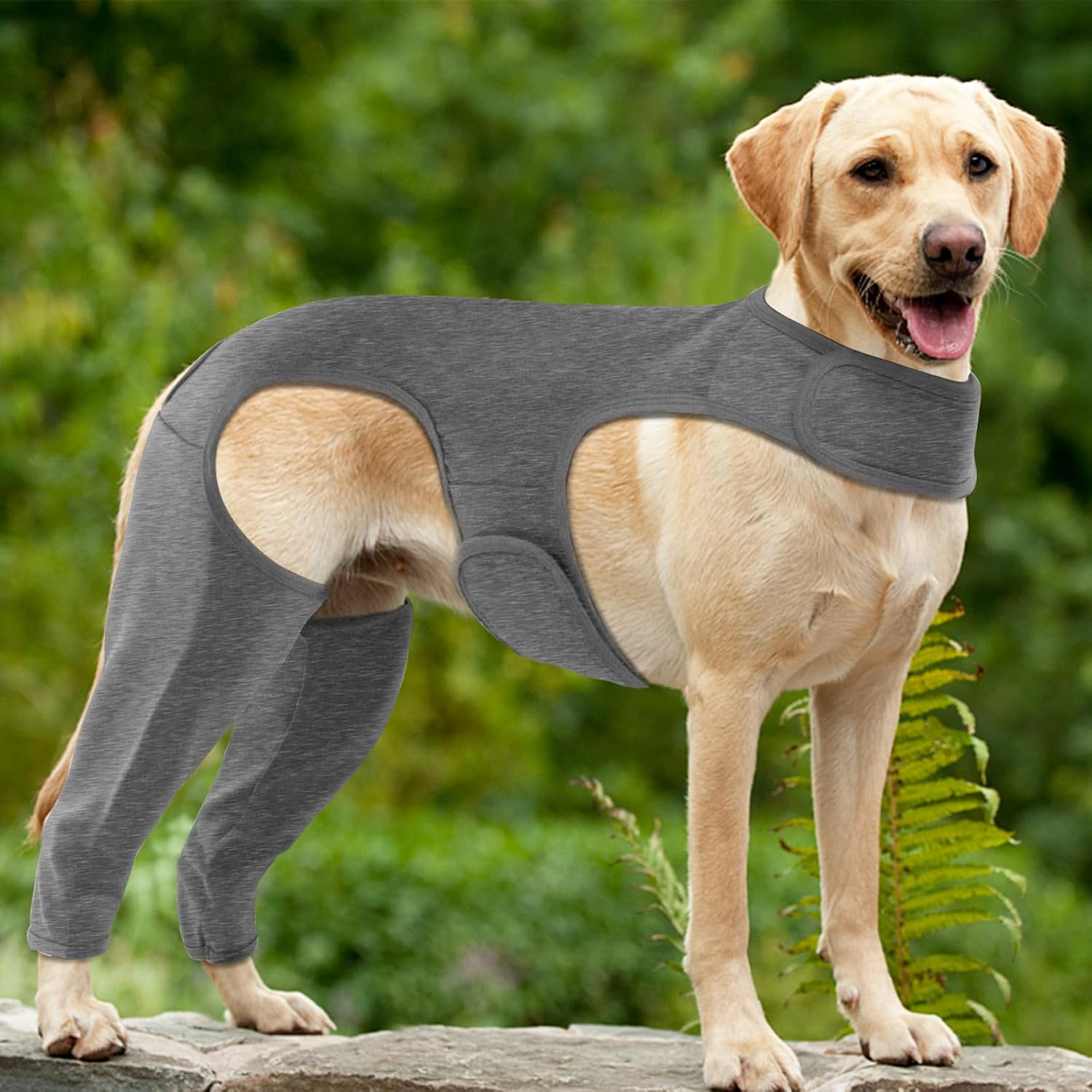Yoolhamy Dog Surgery Recovery Suit, Dogs Leg Wound Protector Brace, Comfortable Dogs Elbow Protector Cone Alternative Prevent Licking Bite Long Sleeve Suits Leg Brace Support (Grey, S) image number 5