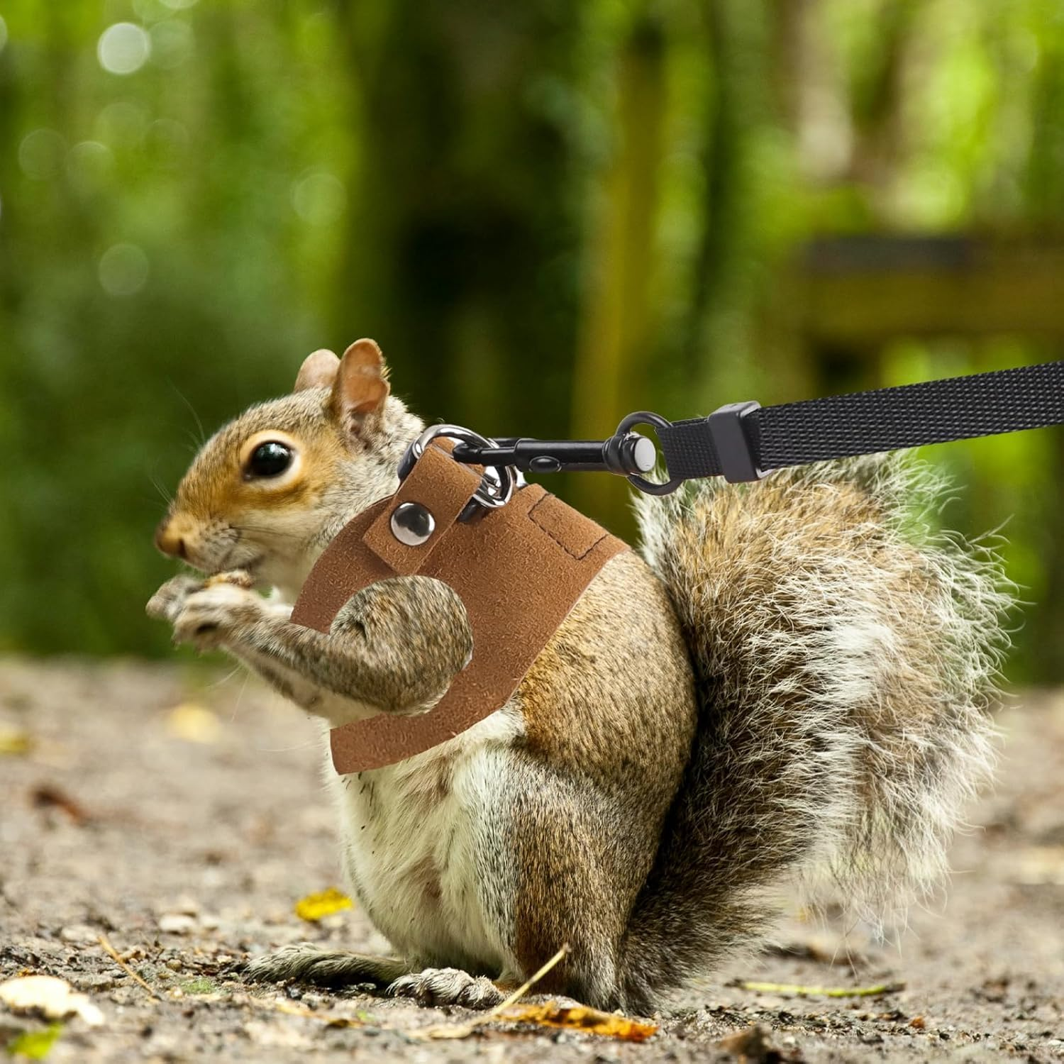 3 Size Lizard Traction Rope,Bearded Dragon Harness and Leash Set,Adjustable Harness Soft Leather Leash Lizard Reptile Traction Rope Walking Vest Accessories for Bearded Dragon,Iguana,Gecko (Black) image number 2