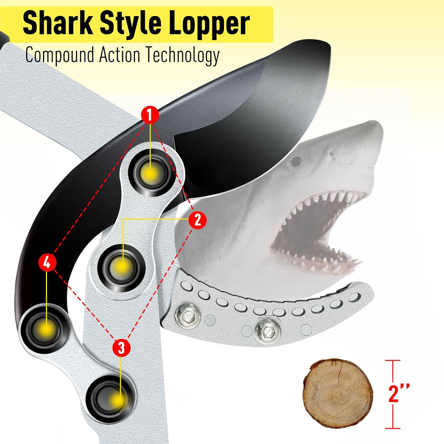 JARDINEER 3PCS Extendable Anvil Loppers Shears Set, Branch Cutters Heavy Duty with 2 Inch Clean Cut Capacity, 28-38.5" Telescopic Tree Trimming Long Handle with SK5 Spare Blade image number 6