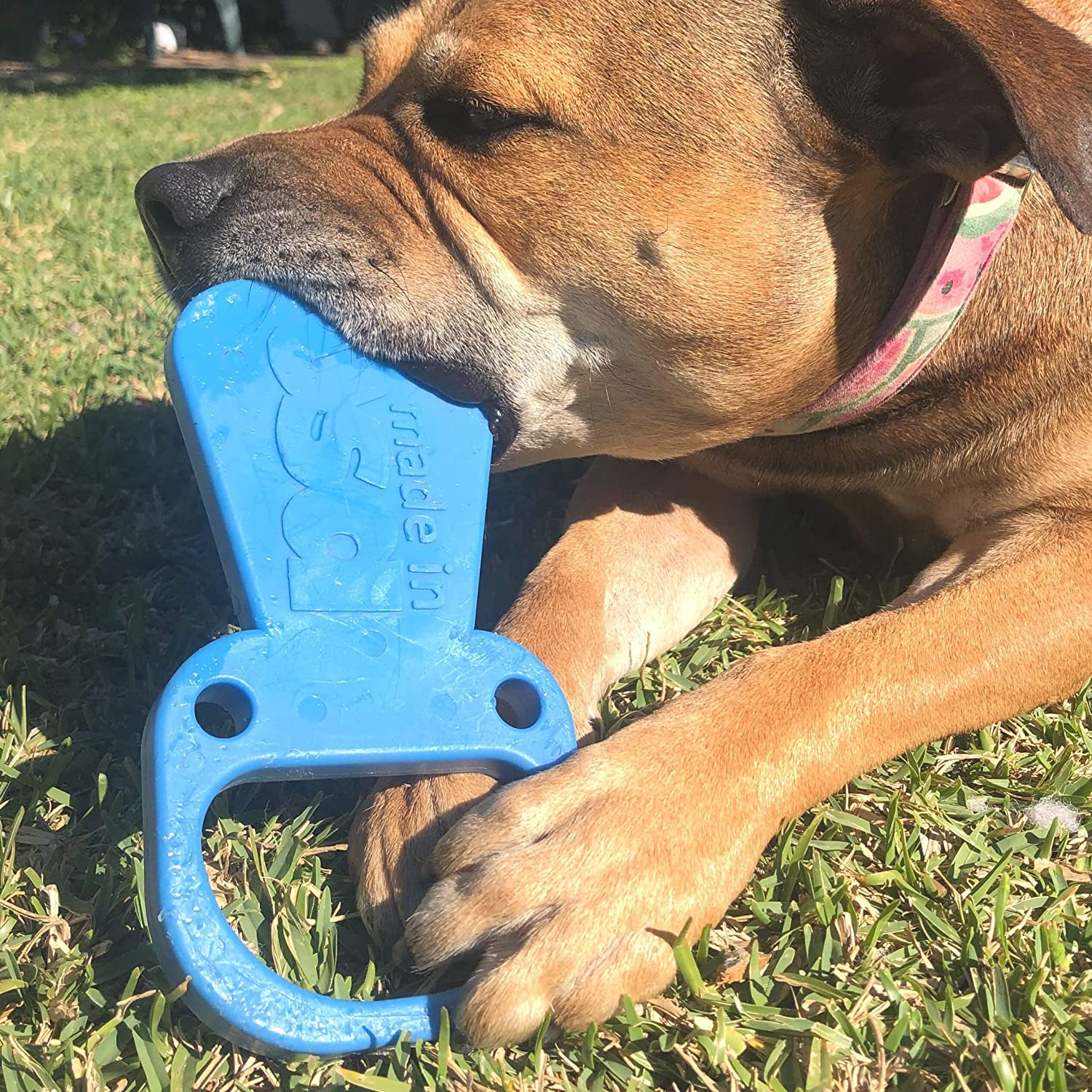Sodapup Nylon Pop Top Pull Tab Power Chewer Toy- Blue. Ultra Durable Dog Chew Toy for Aggressive Chewers. Power Chew Toys for Those Dogs That Typically Wreck Everything in Minutes! image number 3