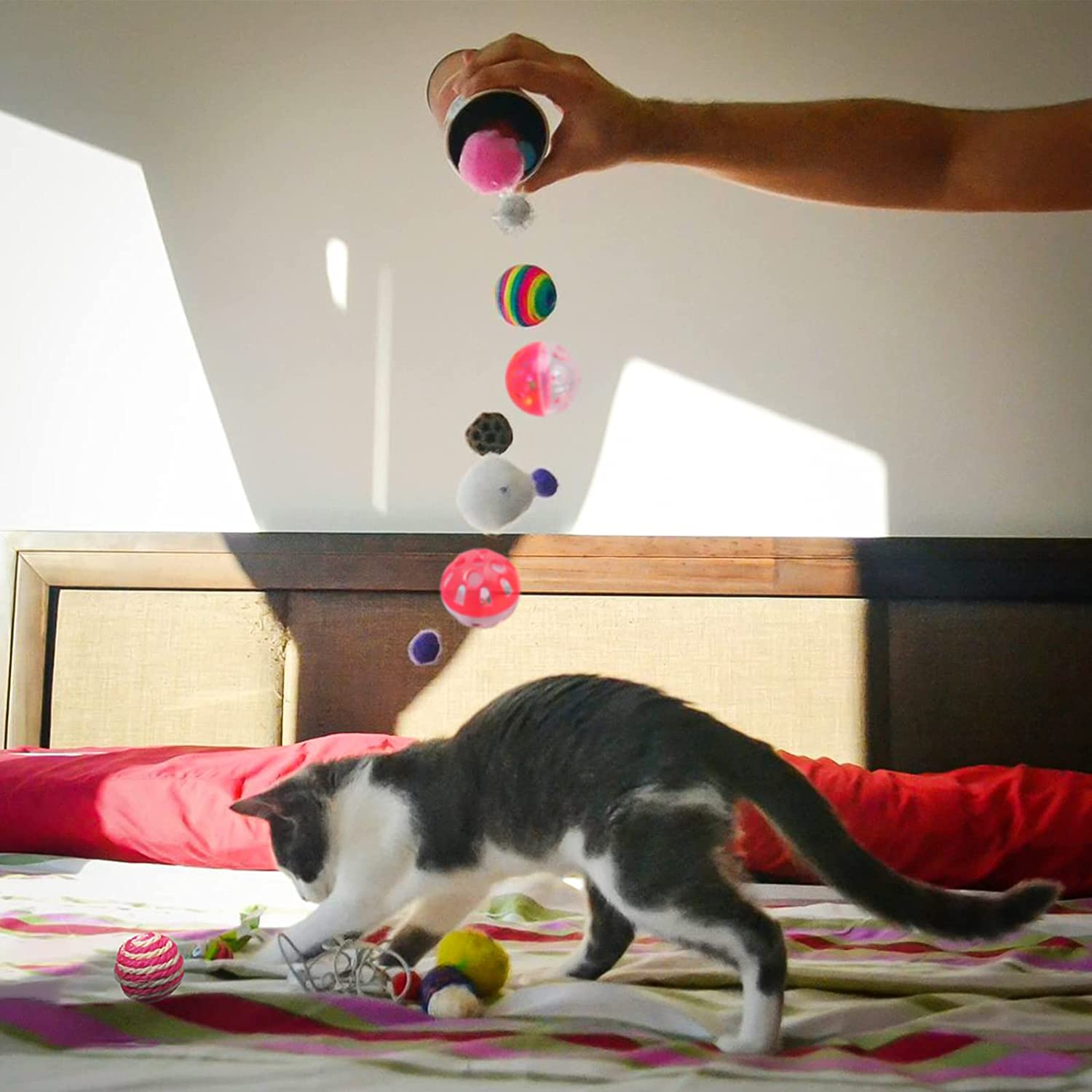 VAPKER 30Pcs Cat Ball Toys Kitten Chew Toys Balls with Bell, Rainbow, Sparkle, Crinkle, Sisal, Pom Pom for Indoor Cats image number 6