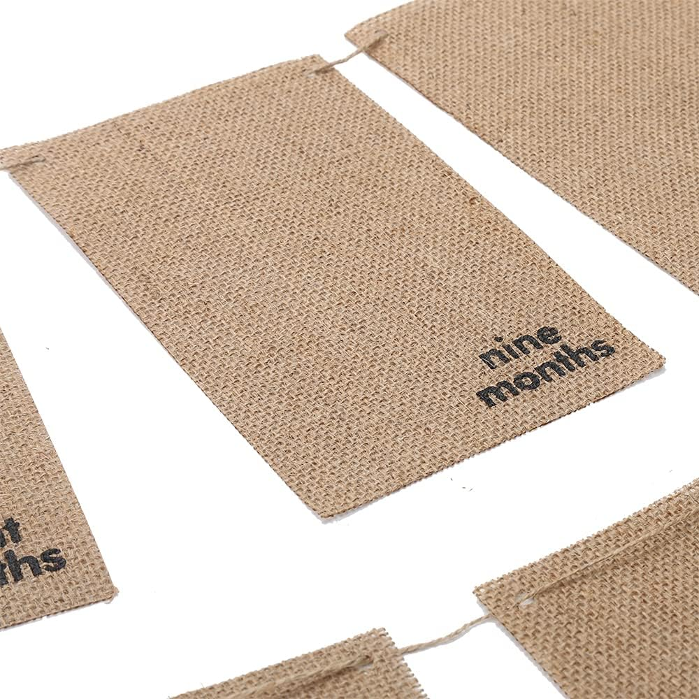 1St Baby Birthday Photo Banner from Newborn to 12 Months, Monthly Milestone Photograph Rustic Bunting Garland for Baby First Birthday Decoration by Ucity image number 2