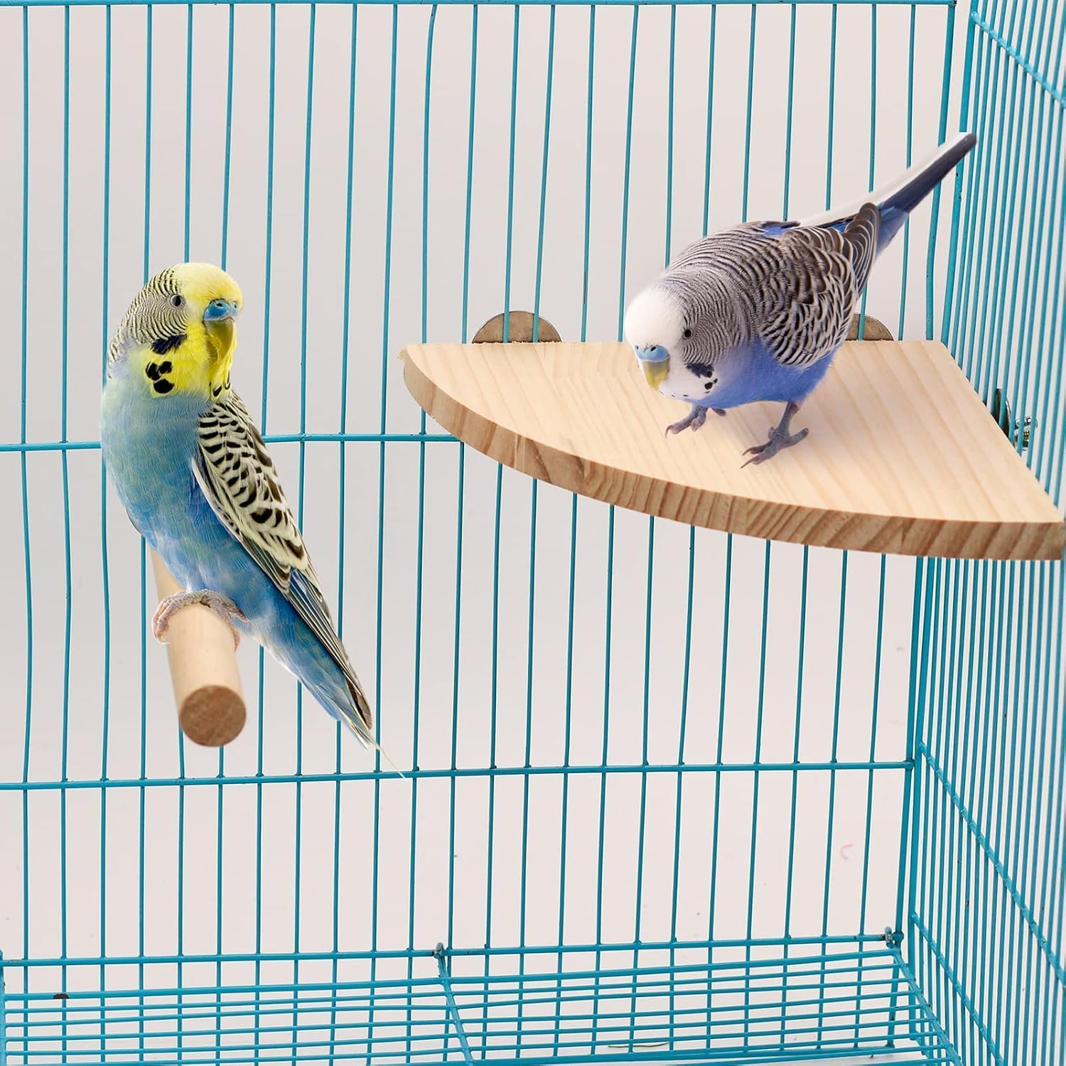 Ksngtixe 1PC Bird Perch Platform, Fan-Shaped Corner Shelf for Parrots - Durable Chew-Resistant Stand for Budgies/Cockatiels/Conures/Macaws/African Greys - Easy Mounting Bird Cage Accessory image number 6