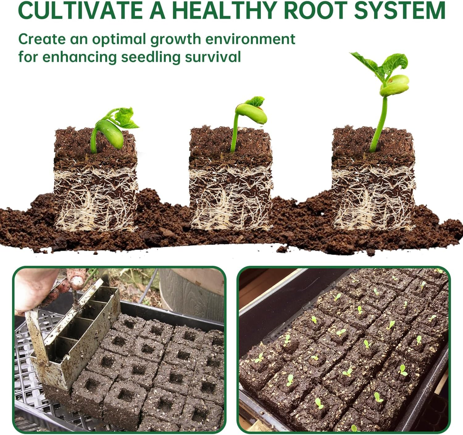 Nanovi Soil Blocker, 2 Inch Soil Block Maker with 3 Sizes Seed Pins & Comfortable Handle 4 Cell Handlheld Soil Blocking Tool for Seed Starting, Grow Seedling, Outdoor Plants, Greenhouses, Garden image number 6