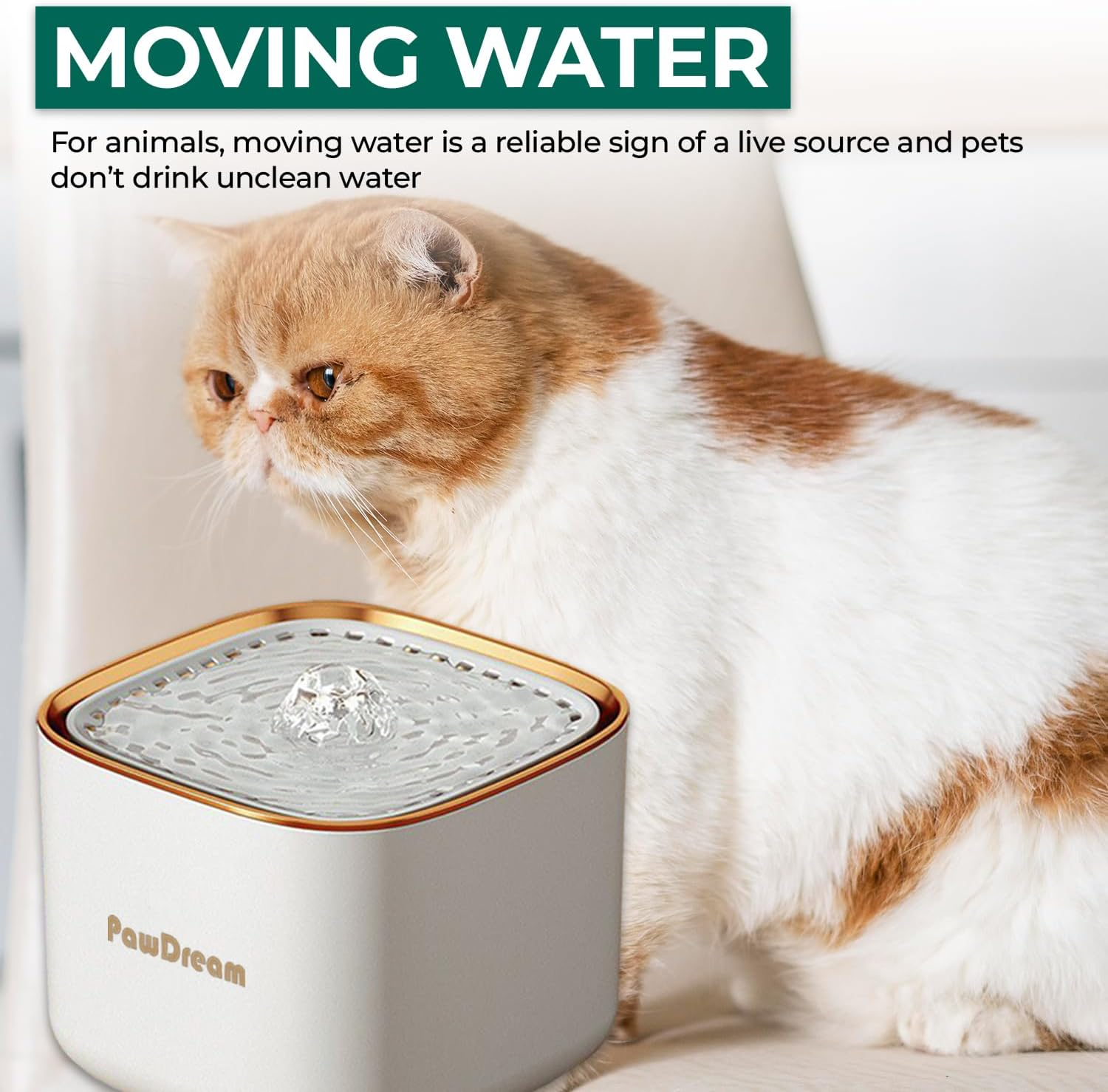 Smart Cat Water Fountain for Dogs & Cats | 3Liters Large Capacity Portable & Lightweight Pet Fountain with Ultra-Quiet Filtration,Dry-Run Protection & AU Plug Included | Ideal for Multi-Pet Households - Grey image number 7