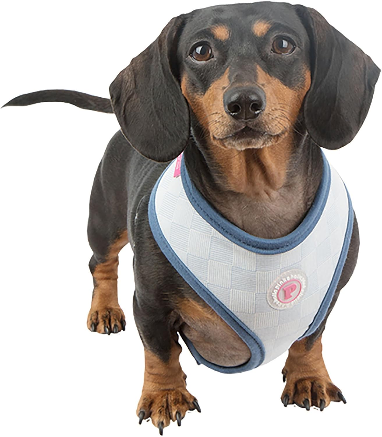 Pinkaholic New York Dog Clothing Clement Harness, L image number 3