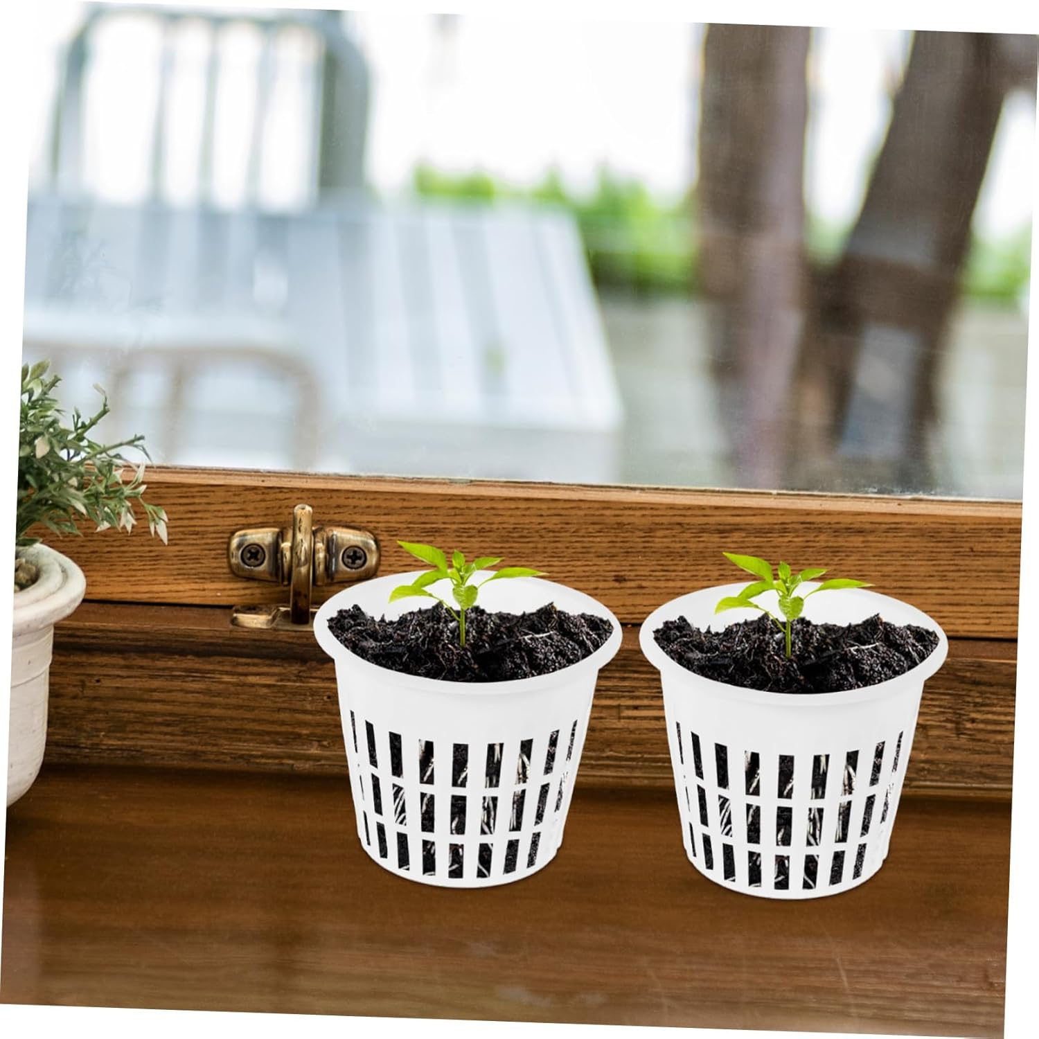 CIYODO 10Pcs White Plastic Net Pots Hydroponic Mesh Nursery Baskets for Small Orchids and Indoor Plants Root Control Aerated Planting Baskets for Home Gardening
