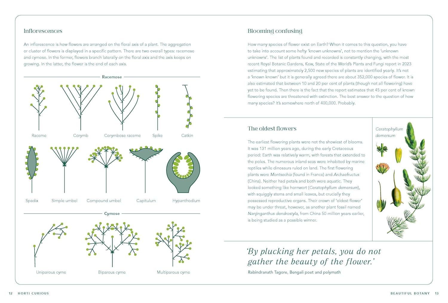 Horti-Curious: a Gardener&rsquo;S Miscellany of Fascinating Facts and Remarkable Plants image number 6