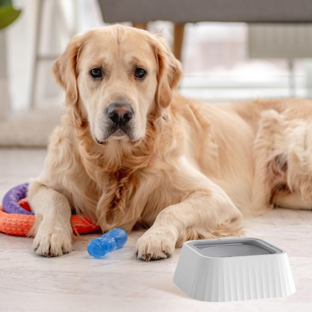 Hwtcjx Water Bowl for Dogs, Leak-Proof Drinking Bowl, Dog Feeding Bowl on the Go, 1.3 L Anti-Spill Dog Bowl Travel for Pets, Indoor, Outdoor, Car (Milky White) image number 5