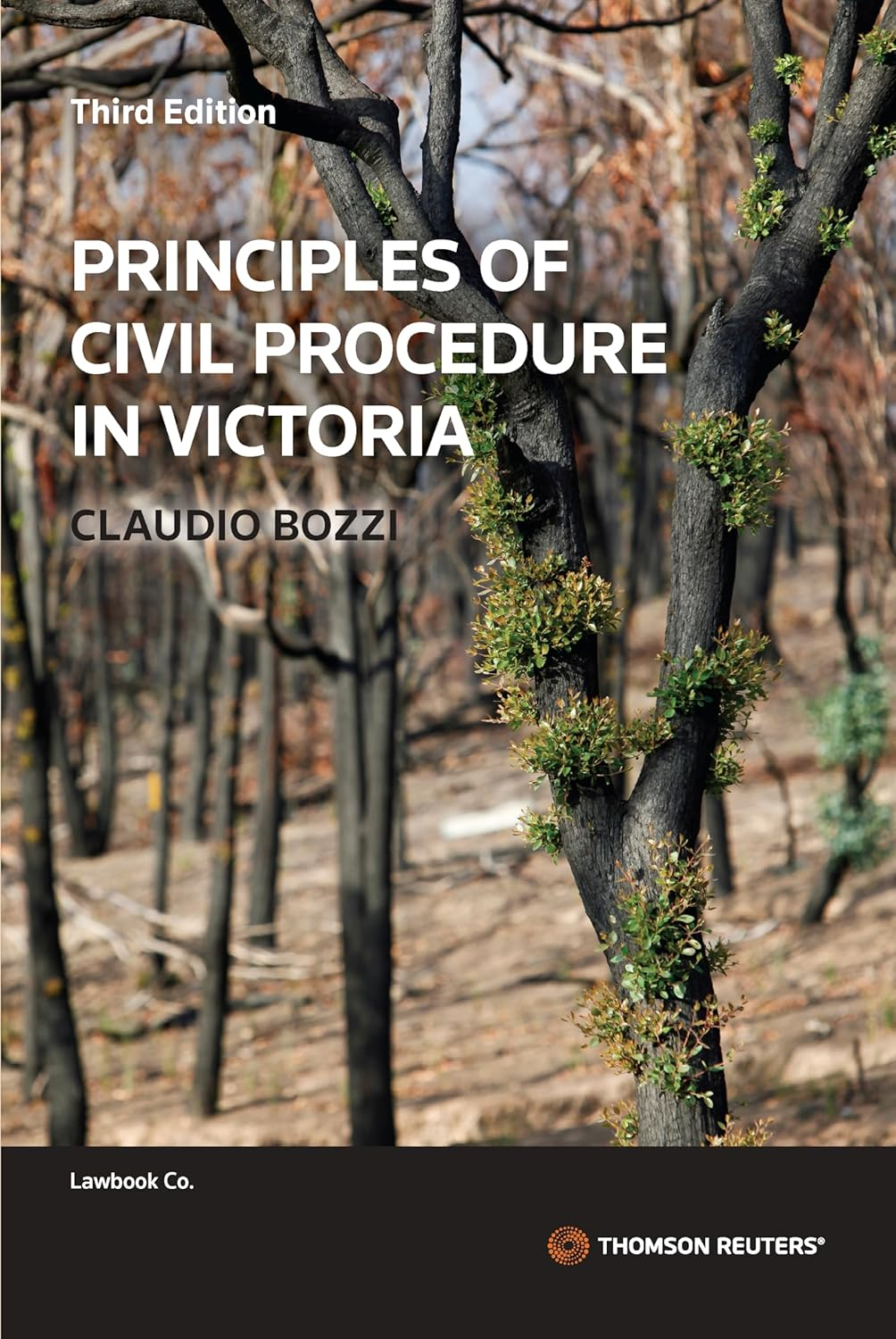 Principles of Civil Procedure in Victoria Third Edition