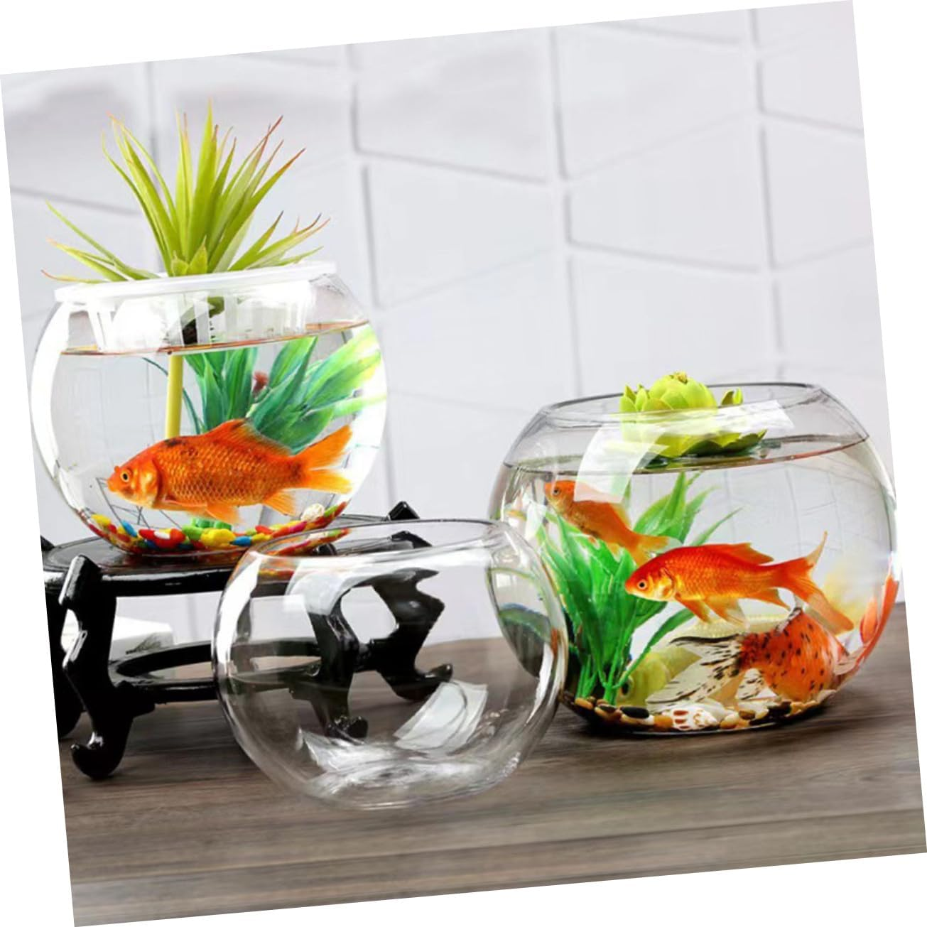 BESPORTBLE Transparent round Glass Fish Tank Multi-Function Betta Aquarium Bowl for Desktop Decor Clear Goldfish and Aquatic Pets Habitat Glass Plant Pot for Office and Living Sphere Design image number 6