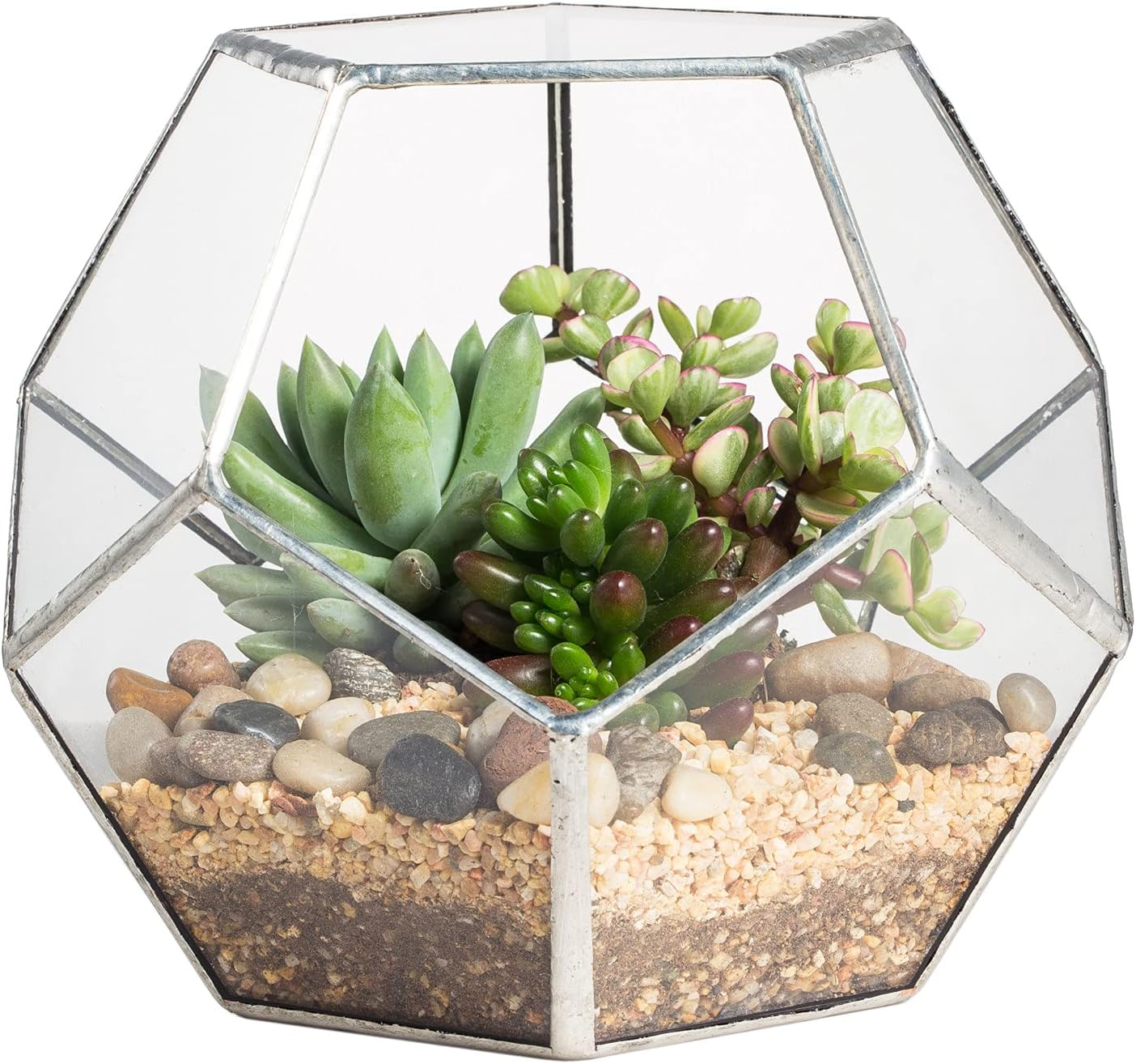 NCYP Brass Glass Pentagon Regular Dodecahedron Geometric Terrarium Container Desktop Planter for Succulent Fern Moss Air Plants Holder Miniature Outdoor Fairy Garden (No Plants,No Door)