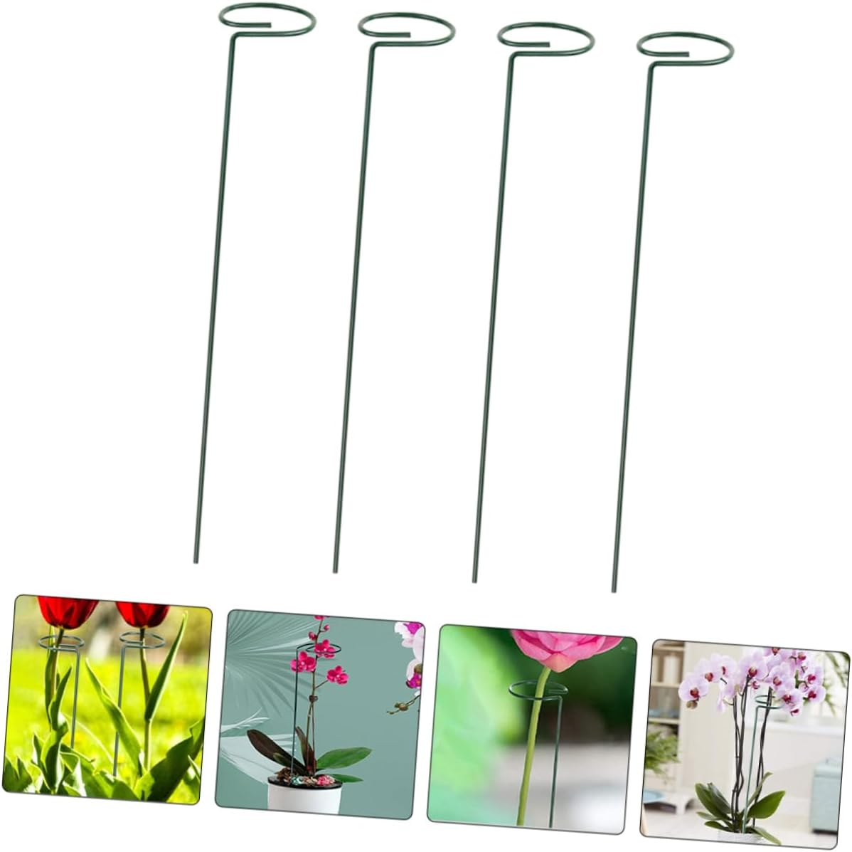 CAXUSD 12Pcs Plant Climbing Support Frame Garden Stakes for Gardening Climbing Plant Trellis Netting Stainless Steel Supports image number 6