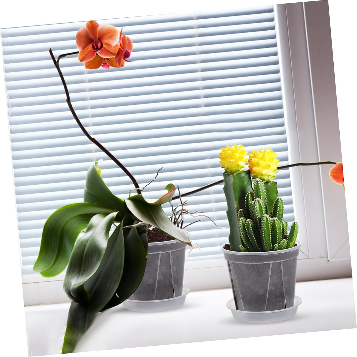 4Pcs Transparent Flower Pots with Drainage Tray Breathable Nursery Pots for Indoor Plants Stylish and Gardening Containers image number 6