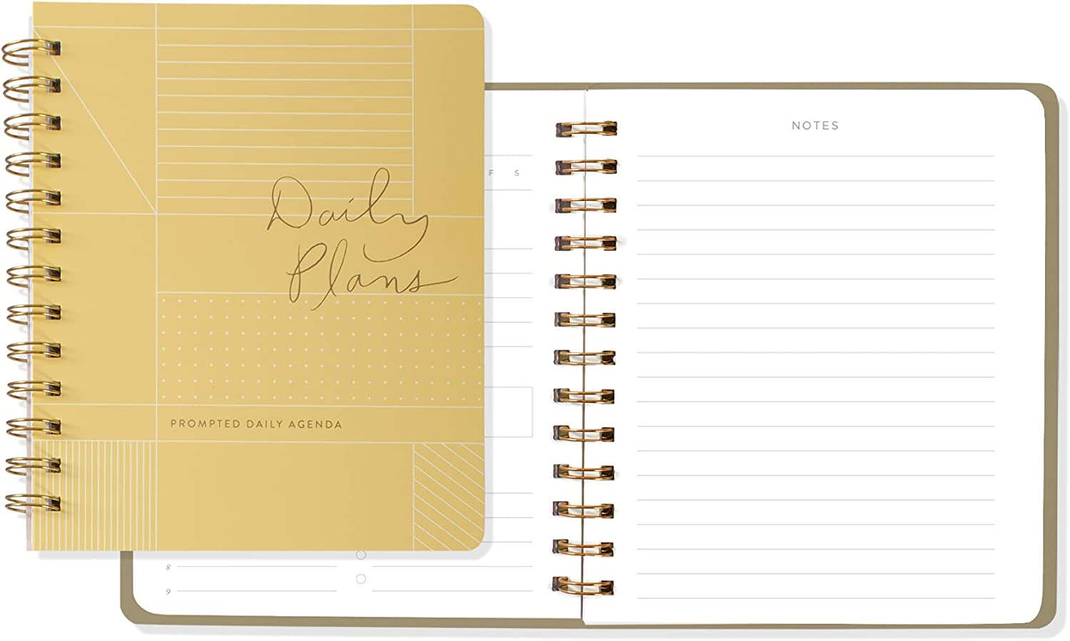 Fringe Non-Dated Daily Planner, 160 Pages, 6 X 7.25 Inches, PAS Daily Grid (877101)