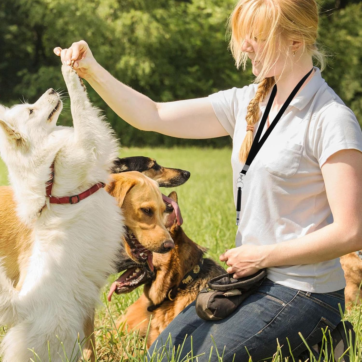 4Pcs Dog Whistle with Lanyard,Ultrasonic Dog Whistle,Adjustable Ultrasonic Dog Whistle,Professional Recall Dog Training Whistles,Ultrasonic Dog Whistle,Adjustable Dog Whistle image number 5