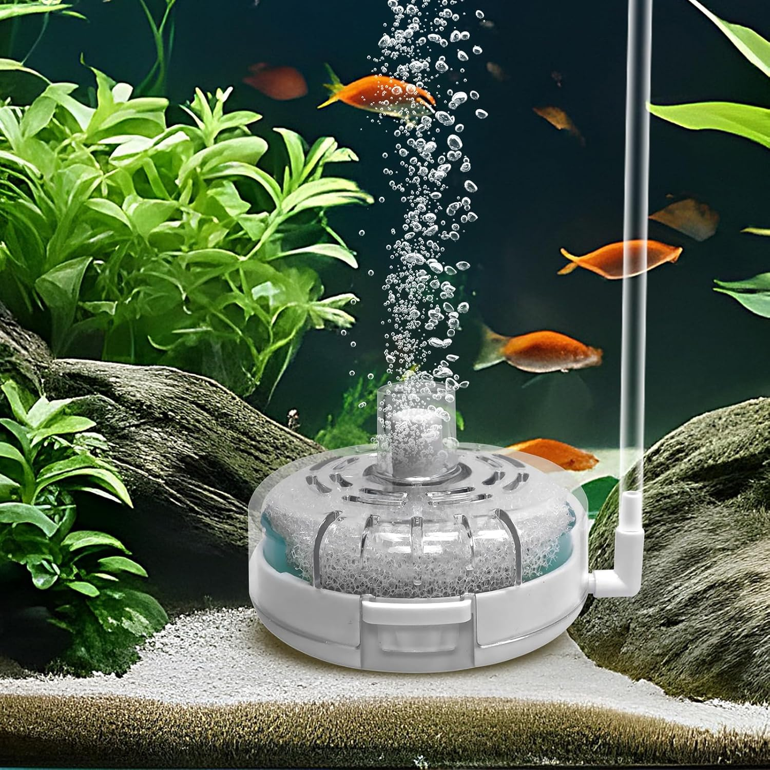 Nkmifeg Small Aquarium Filter | Fish Bowl Filter - Replacement Filtration Aerator Pump for Shrimp Freshwater Terrarium Breeding Pond Saltwater image number 1