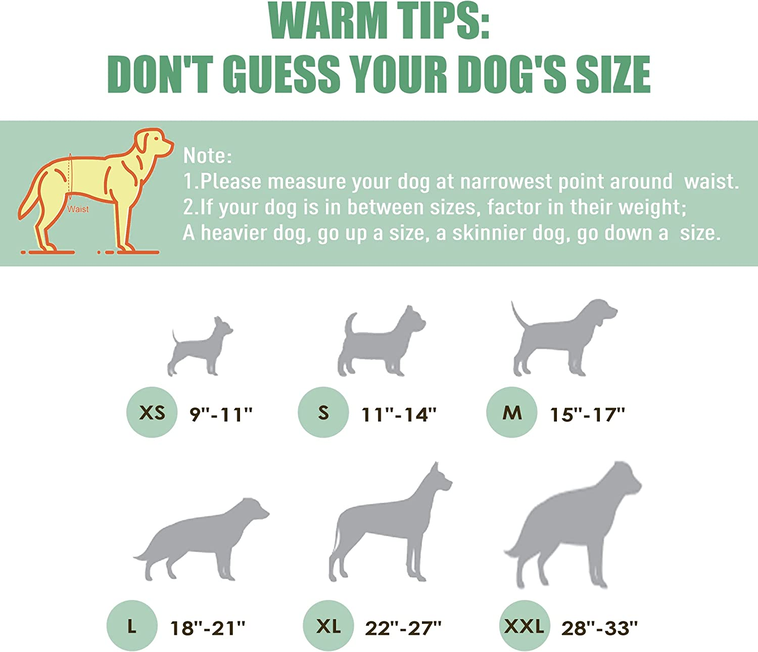 Wegreeco Washable Male Dog Belly Band Pattern- Pack of 3 - Washable Male Dog Belly Wrap, Dog Diapers Male (S, Magic) image number 6