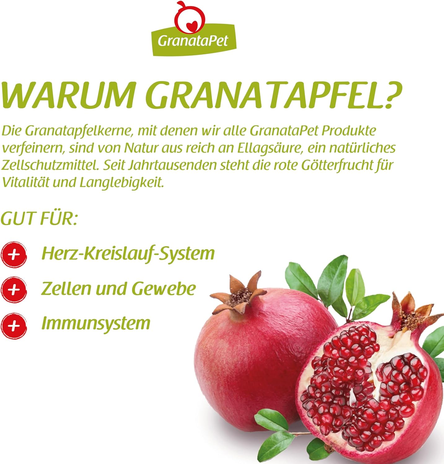 Granatapet Salmon Soup Box, Snacks or Cat Food, against Small Hunger, Treats for Extra Liquid, Grain-Free and Sugar-Free, 12 X 70G image number 5