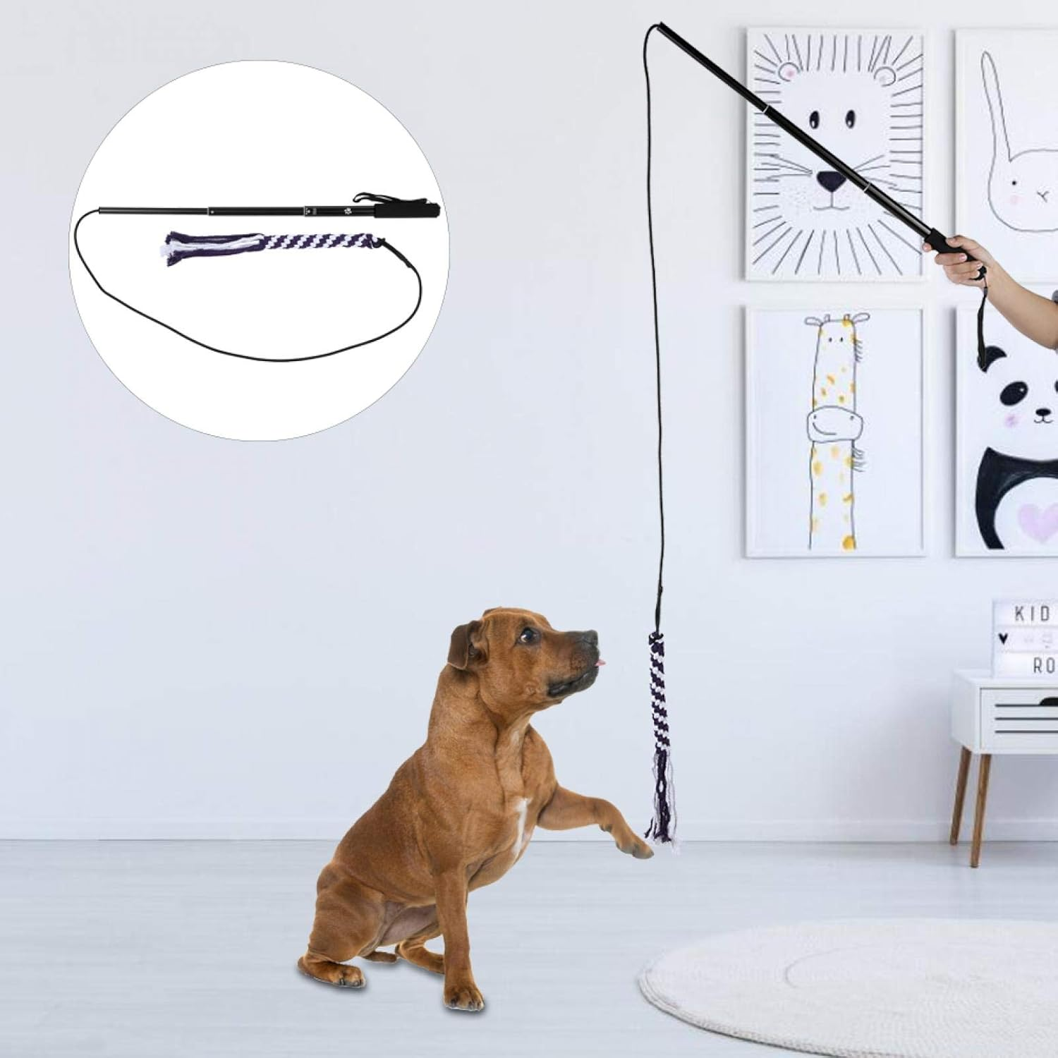 EVTSCAN Pets Dog Cat Toys, Retractable Stick Cat Teaser, Training Play Wand Pet Get More Exercise Outdoor Playing Chasing Chewing(L-黑色) image number 2