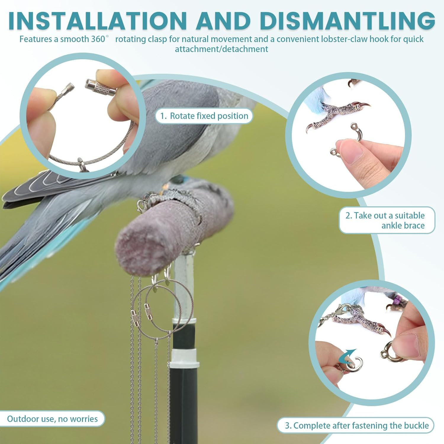 LELE LIFE 2 Pack 1M Bird Leash with 5 Sizes Ankle Rings, Stainless Steel Anti-Bite Parrot Bird Harness Flying Training Chain Leg Rope Outdoor Parrot Alloy Foot Ring image number 1