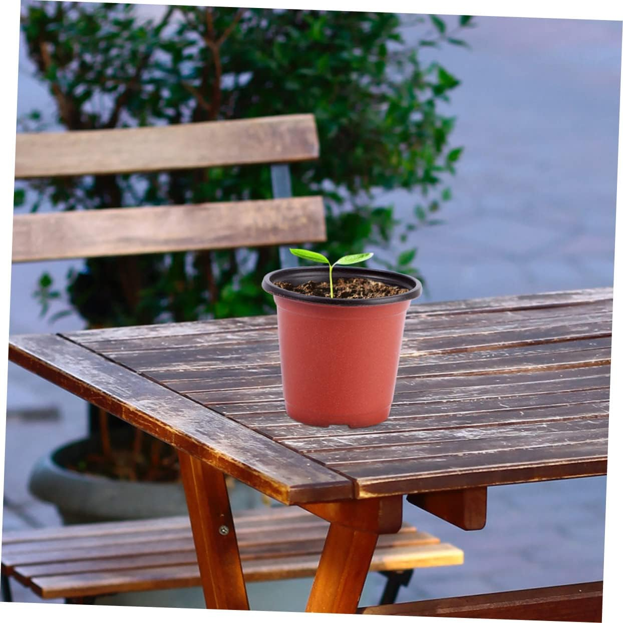 Toddmomy 20Pcs Pot Succulent Pot Planter round Tray Black Decor Garden Pots Drainage Flowerpot Flower Pot Plant Pots Indoor Pot for Plants Indoor Gardening Pots Plastic Nursery Set image number 1