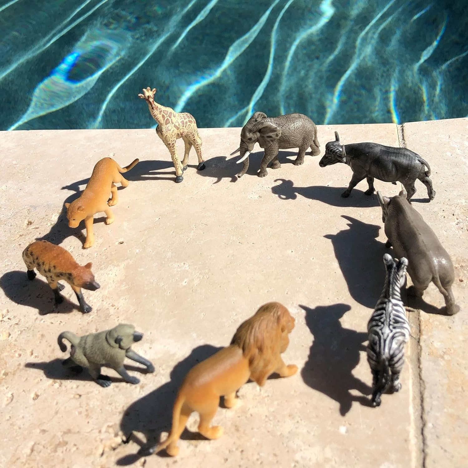 Safari Ltd South African Animals image number 4