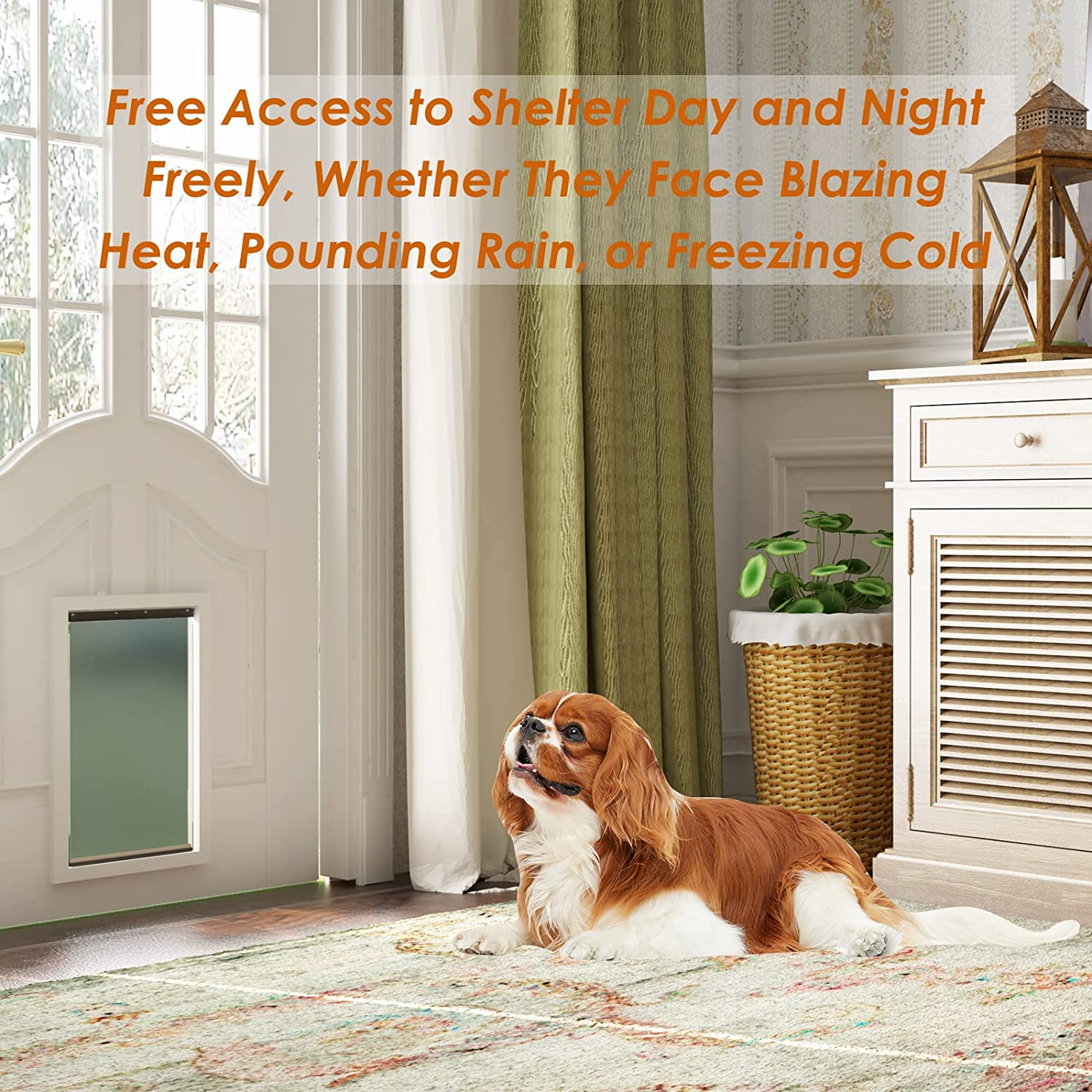 Dog Door Replacement Flaps with Screw, Medium Pet Door Replacement Flap Compatible with Petsafe Freedom PAC11-11038, Weather-Proof & No Warped for Medium Dogs, Cat Doggie Flaps,12 7/8'' &times; 8 1/8'' image number 3