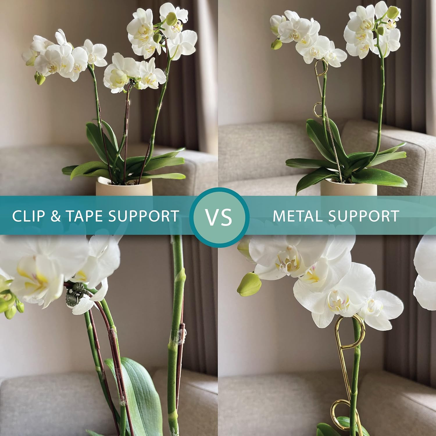 LOOPSEED Small Metal Trellis for Indoor Plants Metal Plant Stake for Climbing House Plants Plant Support for Potted Plants Orchids, Monstera, Pothos, Ivy, Hoya, Philodendron Set of 4 (Brushed Gold)