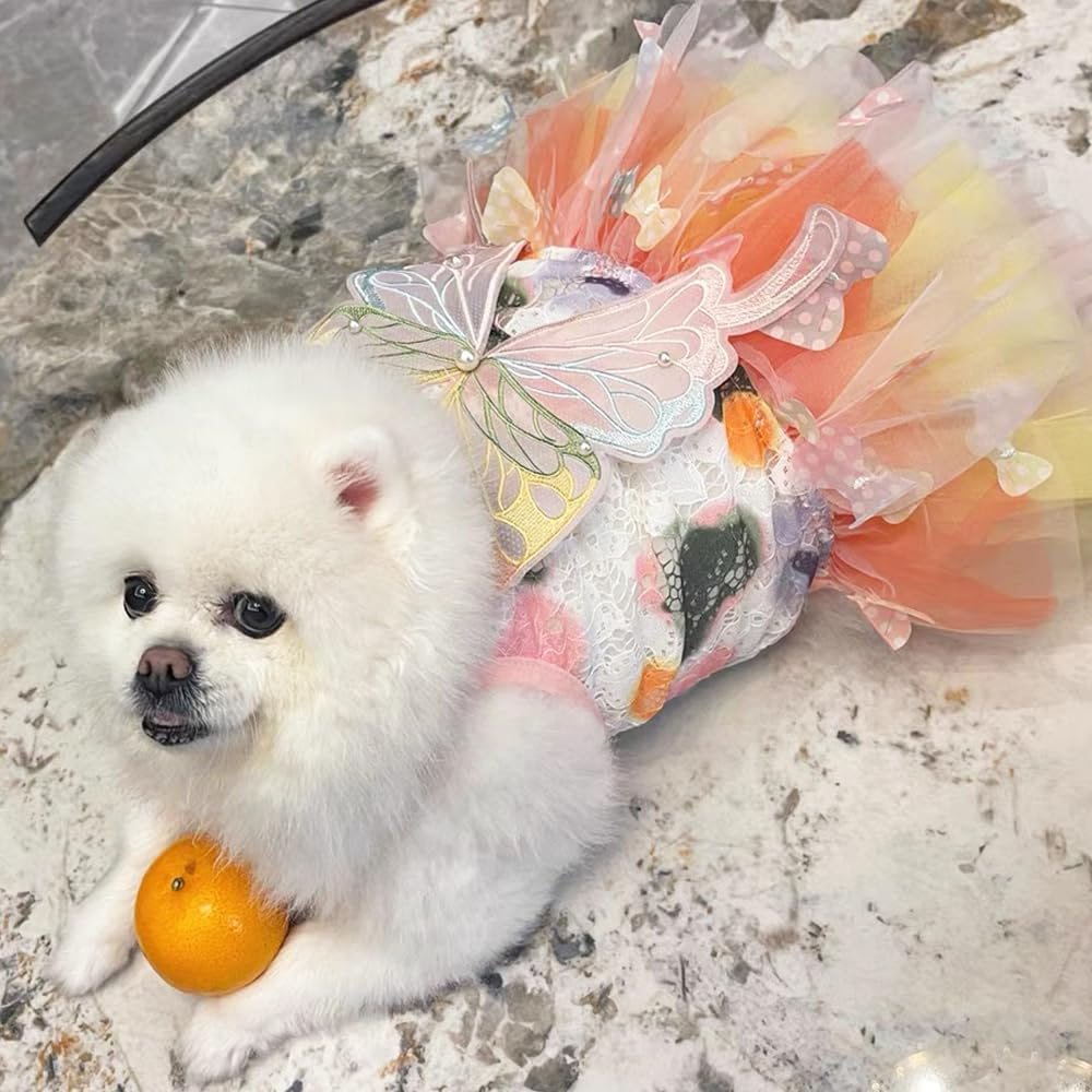Rainbow Butterfly Dog Dresses for Small Dog Girl Puppy Lace Tutu Princess Dress Cat Outfit Pet Butterfly Costume for Kitten Chihuahua Yorkie Pomeranian (Pink, Small) image number 4