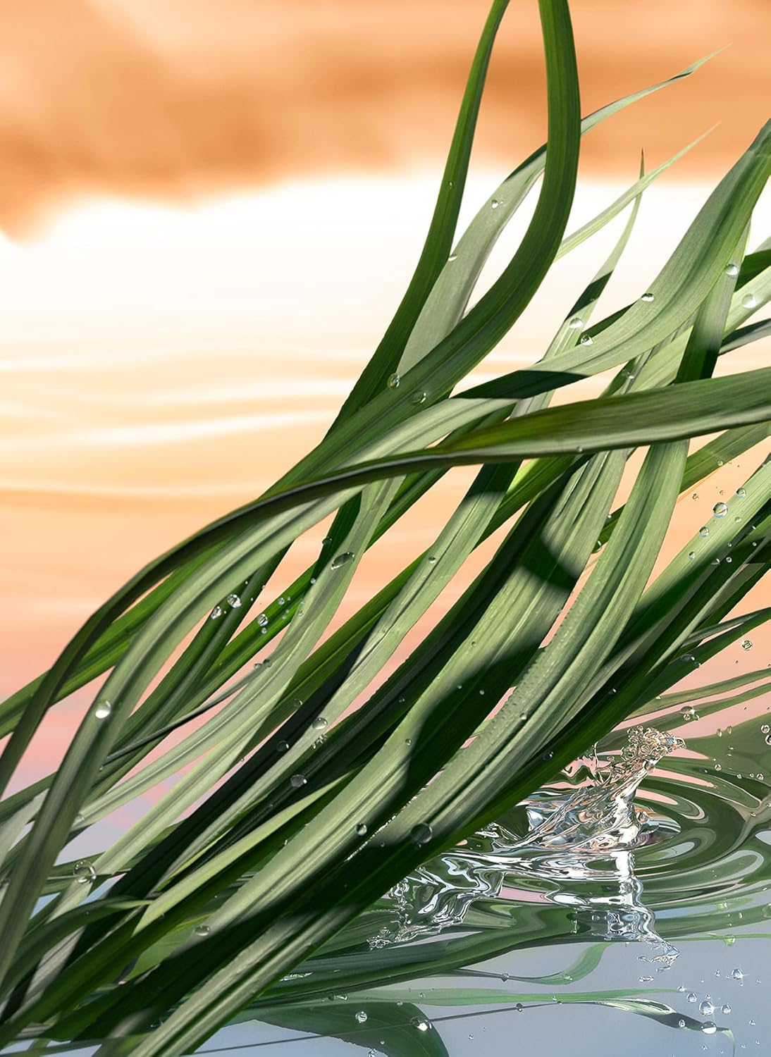 Est&eacute;e Lauder Blushing Sands Eau De Parfum Spray 100Ml image number 1