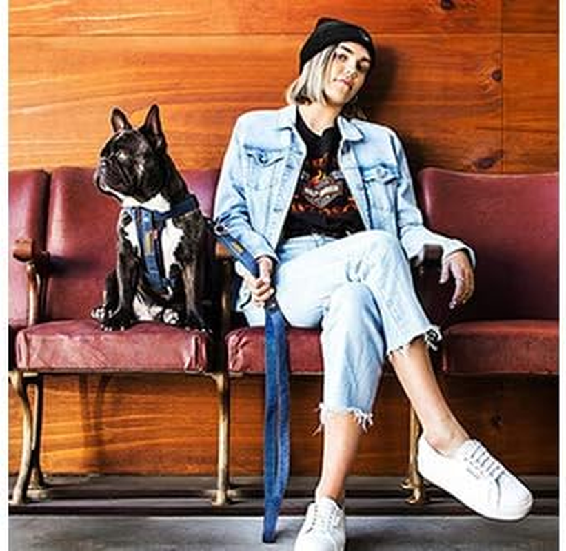 EZYDOG Dog Harness, Dog Harness, Denim, XS Size image number 6