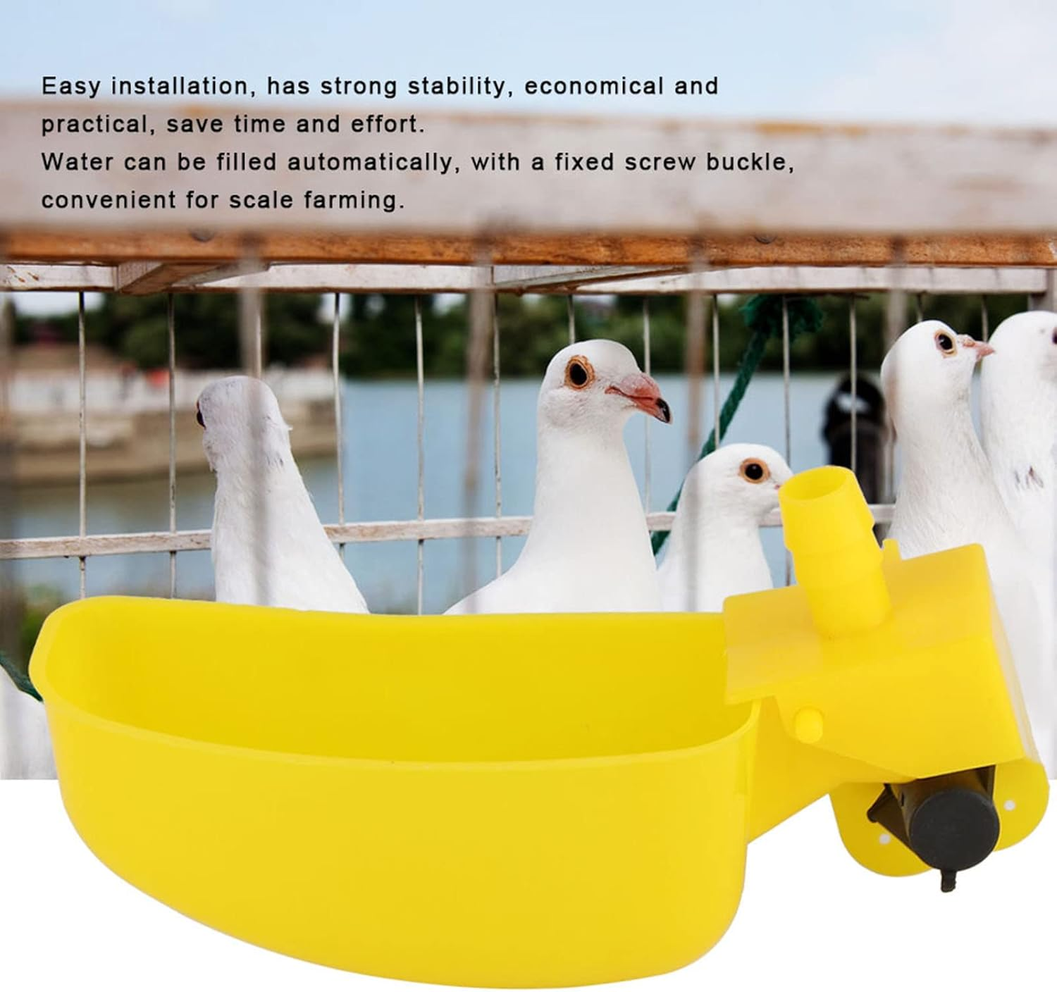12Pcs Quail Water Cups, Plastic Poultry Waterer Feeder Breeding Equipment, Quail Automatic Bird Waterer, Poultry Drinking Bowls for Chicken Bird Quail Drinker, Farming Tools image number 6