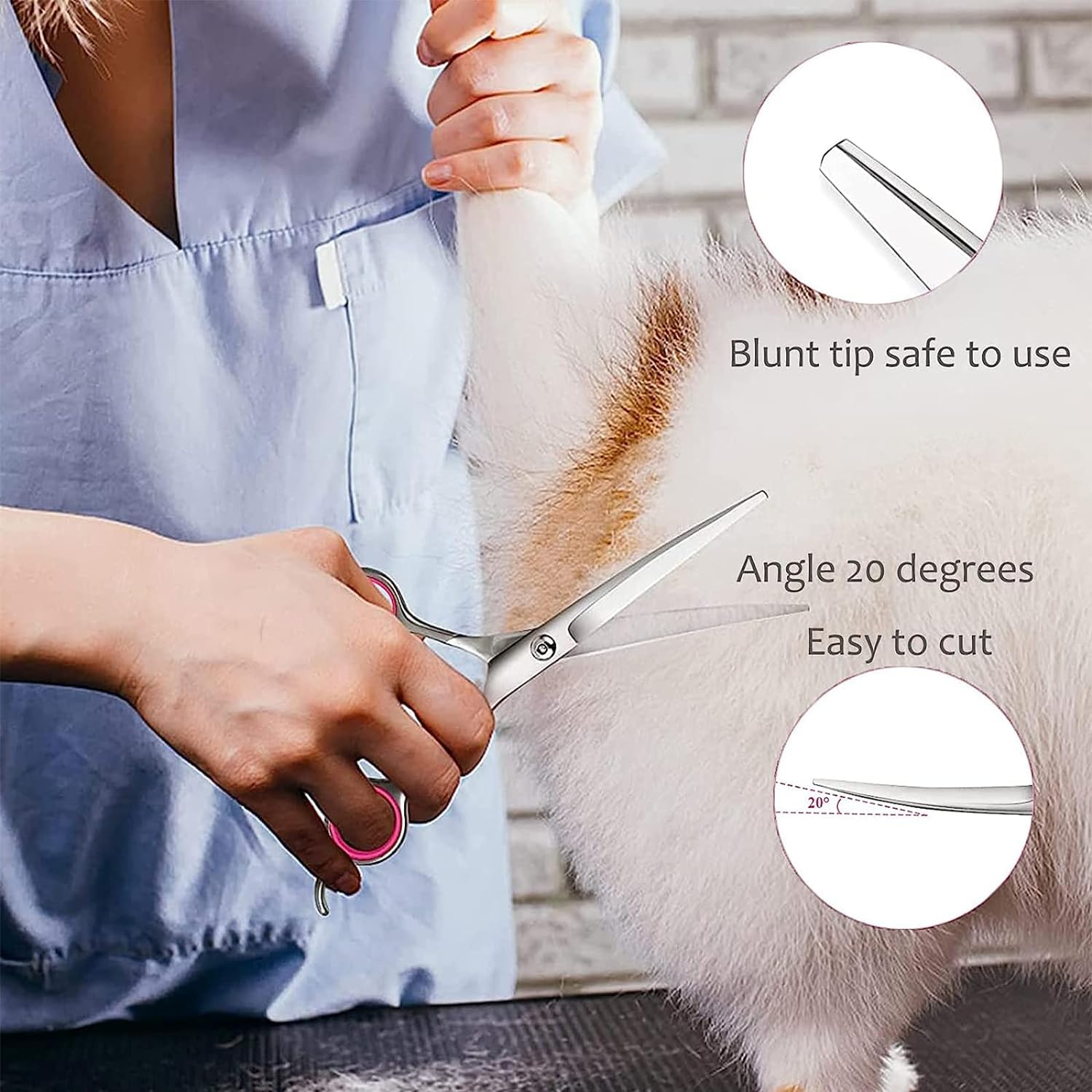 Pet Scissors, Grooming Scissors, 6 Inch Professional Stainless Steel Dog Grooming Scissors for Dogs, Cat Hair Scissors for Dogs, Paw Scissors, Curved Scissors (A) image number 2