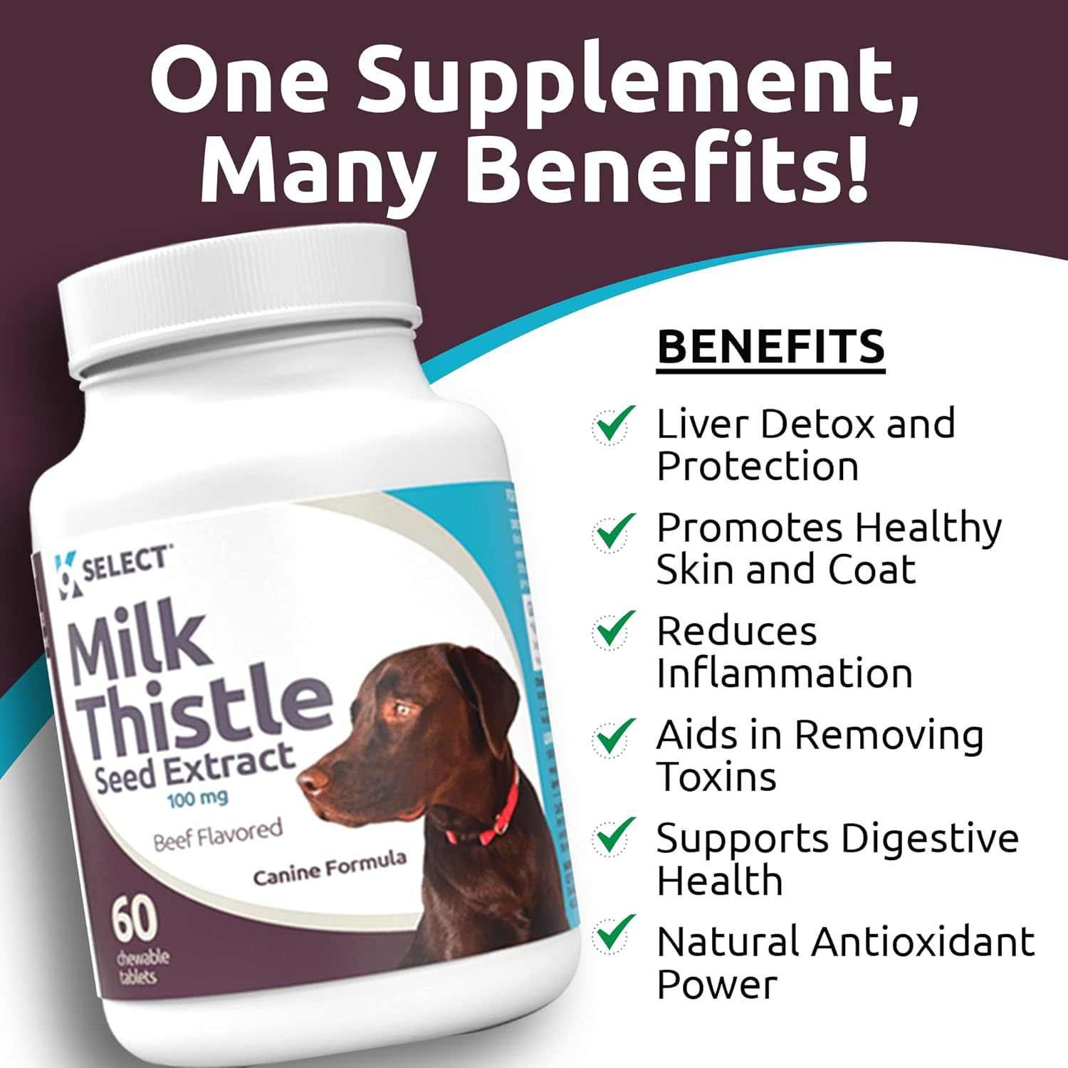 K9 Select Milk Thistle for Dogs, 100Mg - 60 Beef Flavored Tablets - Canine Liver Health Natural Milk Thistle Supplement image number 6