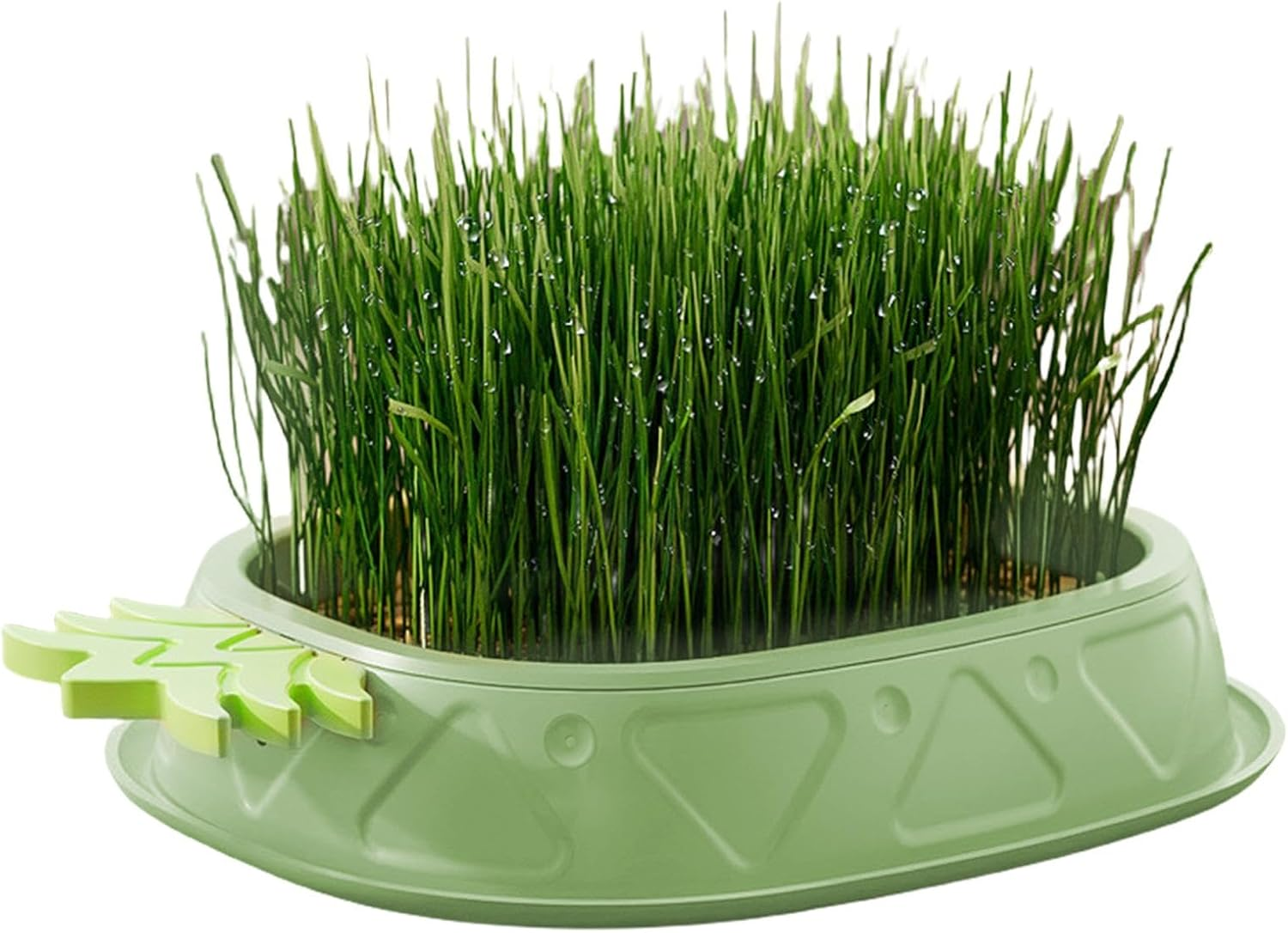Shurzzesj Hydroponic Cat Grass Growing Box,Soilless Culture Growing Kit - Pineapple Design Wheat Grass Pot, Soil- Planting Box, Indoor Organic Catgrass, Germination Tray, Easy Water