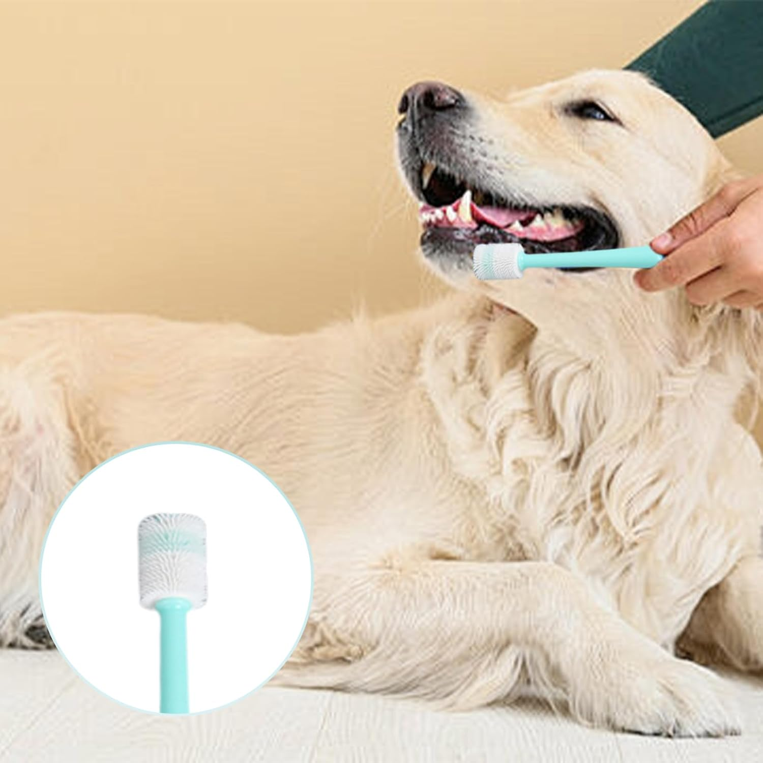 Pack of 3 Dog Toothbrushes, 360 Degree Cat Toothbrush, Soft, Long Handle Cat Toothbrush for Cats, Reusable Dog Toothbrush for Small Dogs, Pets Silicone Toothbrush, for Dogs, Cats Dental Care image number 6