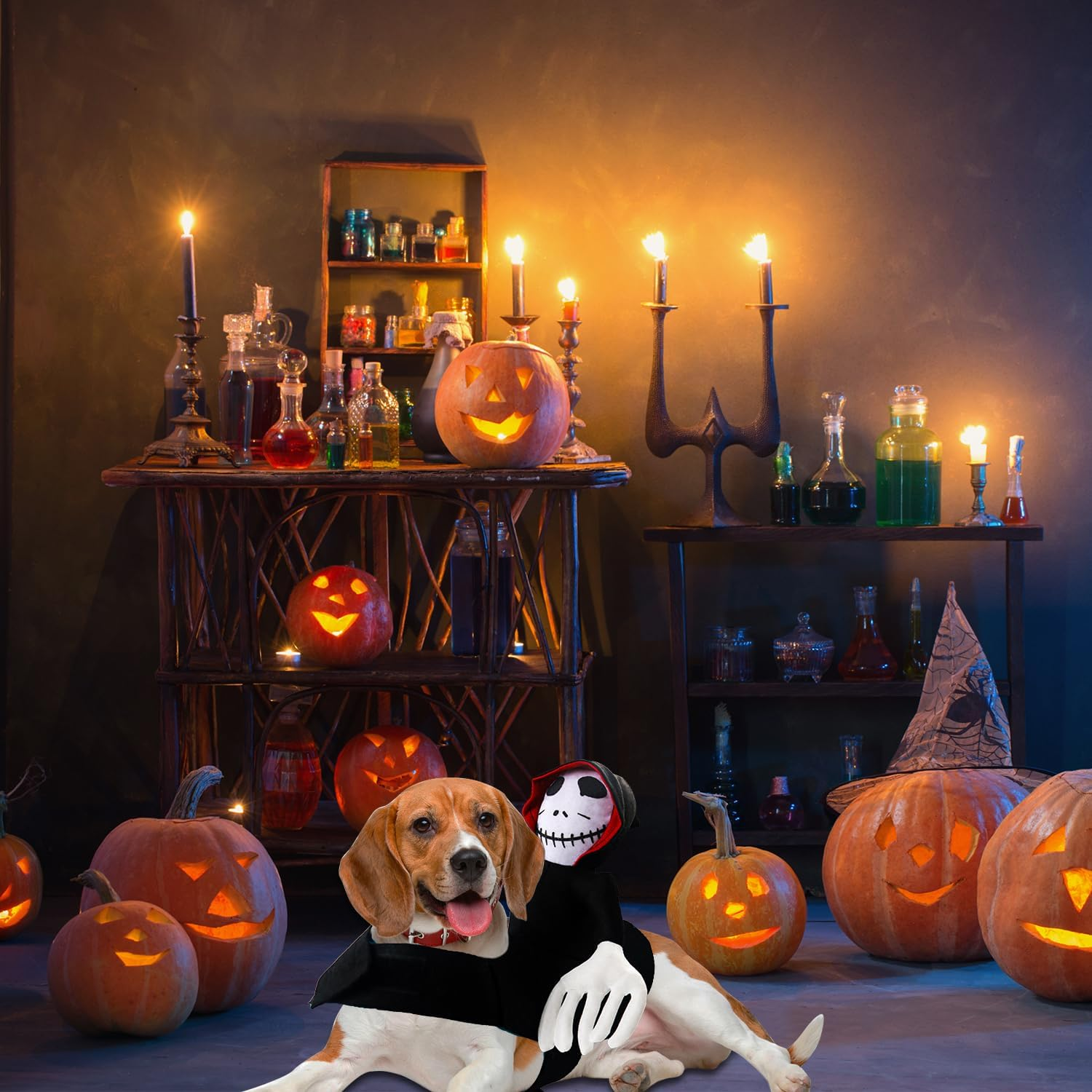 Rider Dog Costume, Dog Costume Halloween, Halloween Pets Party Cosplay Clothing, Pet Dogs Halloween Rider Costume, Ghost Rider, Halloween Grim Reaper Dog Costume (L) image number 4