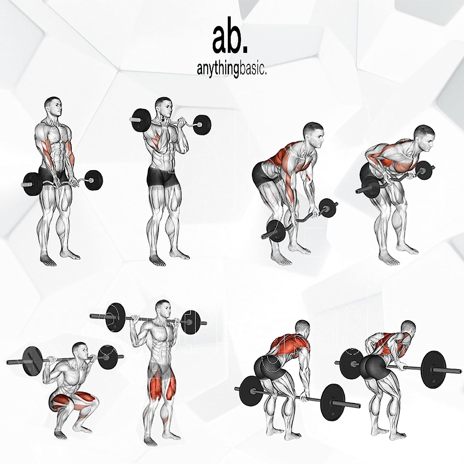 Anythingbasic PVC 8 Kg Home Gym Set with 1 Kg Blue Dumbbells Pair | Black | Material : Iron, PVC, Sand and Cement | Combo Has 3 Feet Curl Iron Rod, One Pair of Dumbbell Rods | for Men and Women image number 2