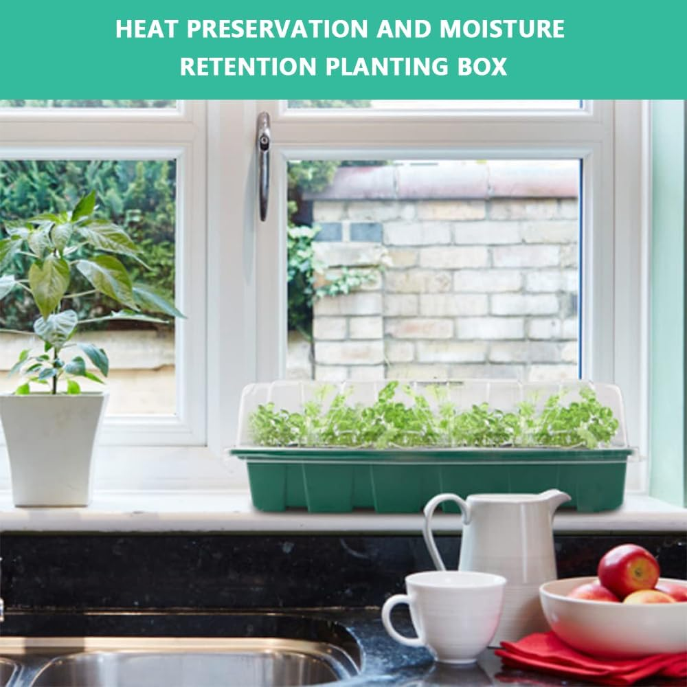 4 Pack Seed Starter Trays 160 Cells Plant Germination Tray with Adjustable Dome Lid, Seedling Starter Growing Tray Mini Propagator Greenhouse Plant Growing Trays with Tools image number 2