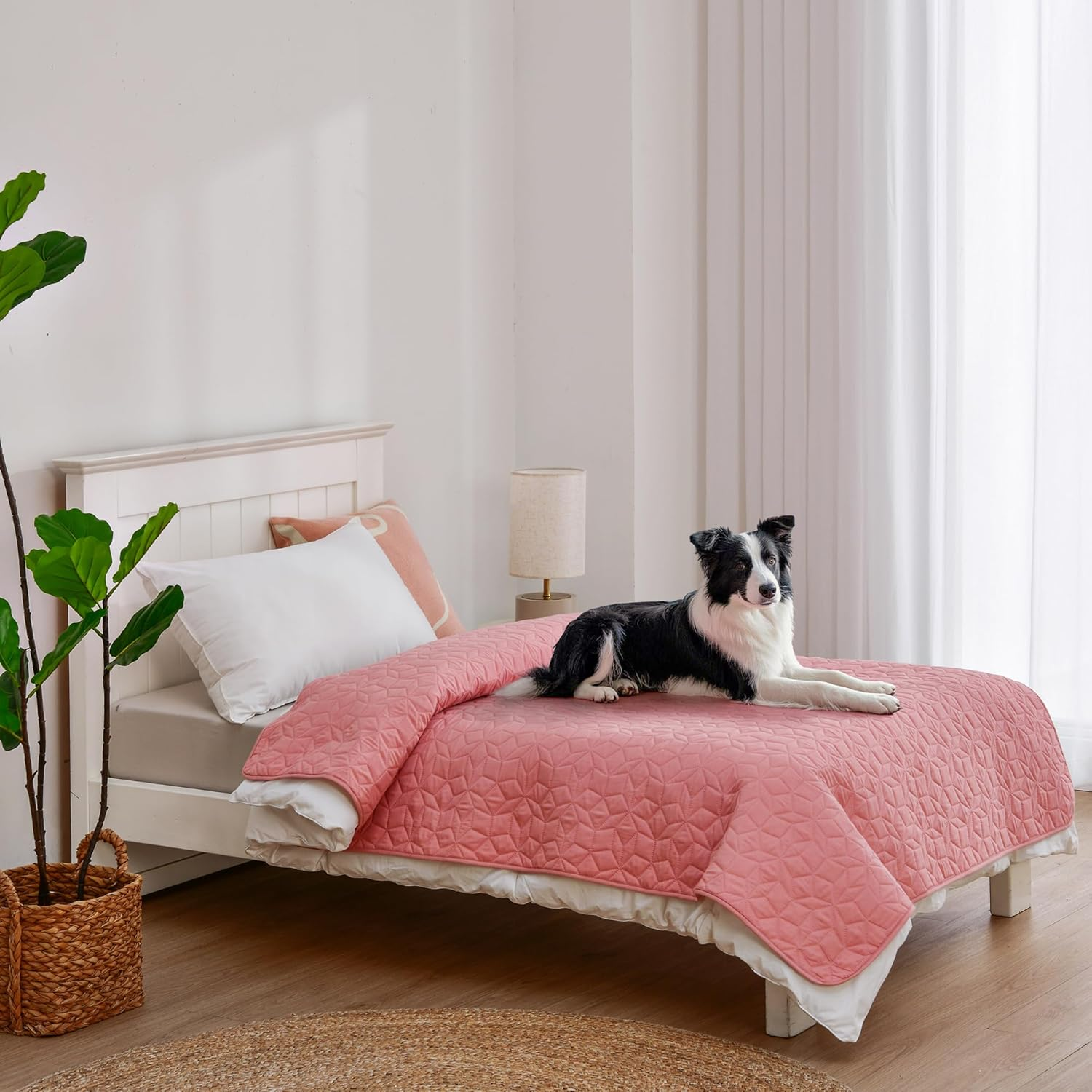 Charlie&rsquo;S Sofur Waterproof Dog Bed Sofa Cover Protector Pet Blanket (Single/King Single Bed 132X208Cm) for Couch Furniture Car Boot Non-Slip Quilted Padded Washable for Pets/Dogs/Cats/Kids - Pink image number 1