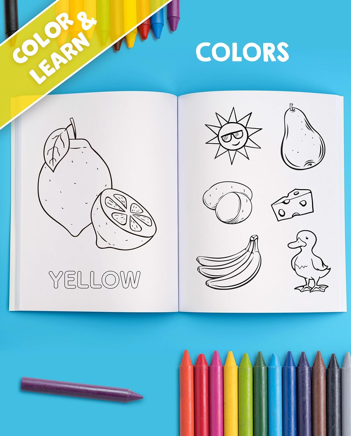 My Big Fun Coloring Book for Toddlers to Learn the Animals, Shapes, Colors, Numbers and Letters: Activity Workbook for Kids Ages 2-4 Years image number 2