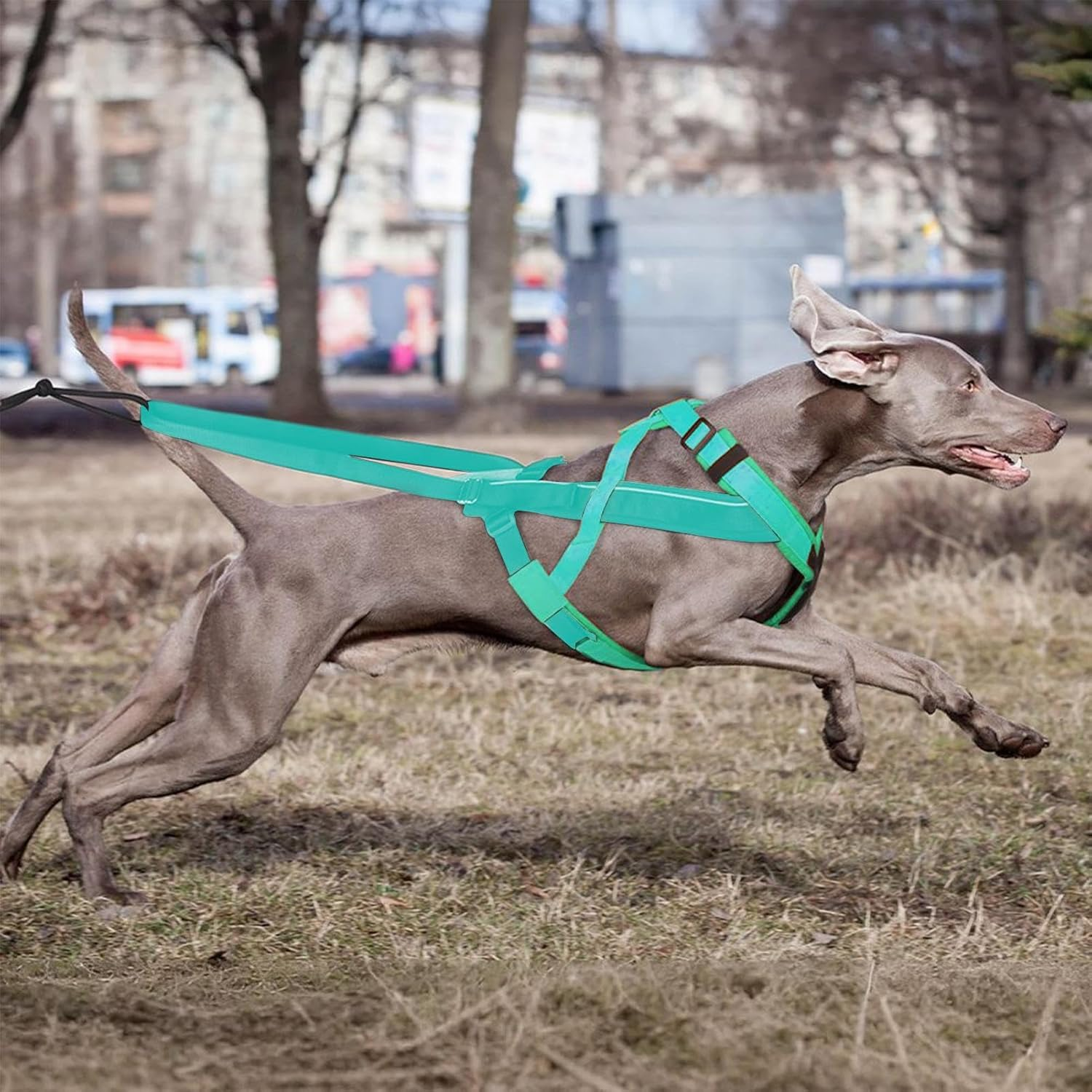 Pulling Harness for Dogs | Reflective Big Dog Harness,Comfortable Adjustable Strap for Sled Training Walking Pulling Exercise Outdoor Activities image number 1