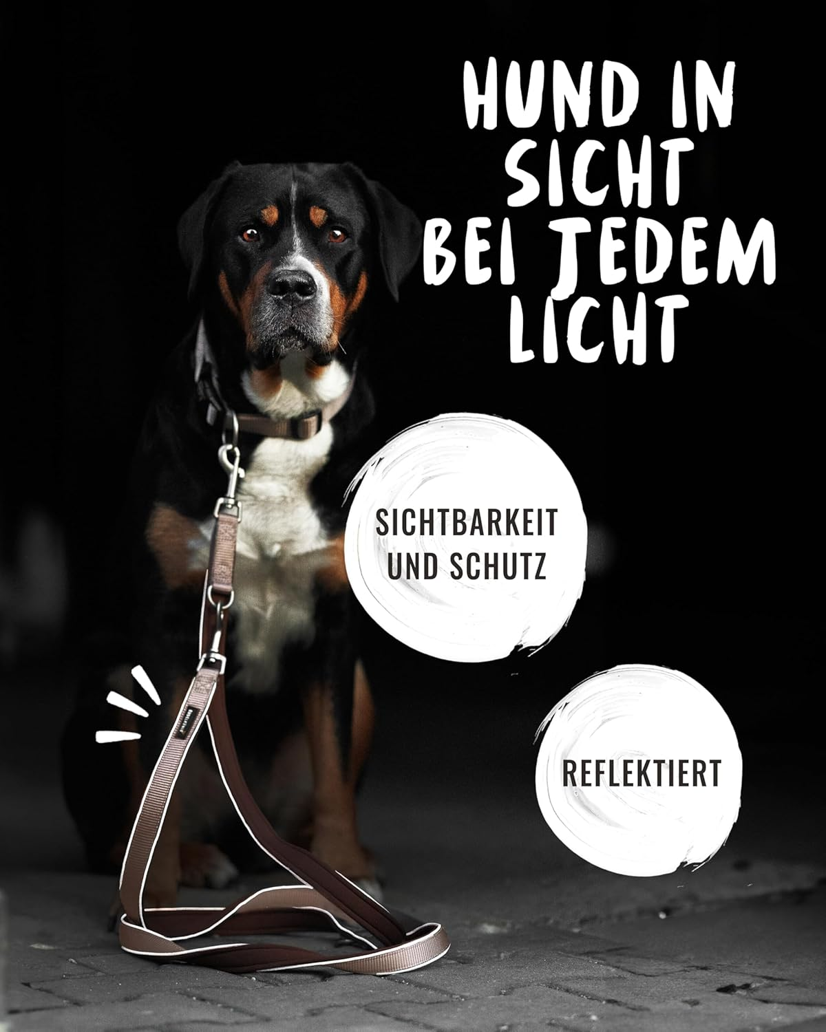 Rudelk&ouml;nig Paola Dog Lead - 2.30 M Length - Adjustable Lead for Medium and Large Dogs - Reflective Dog Lead in Rose image number 4