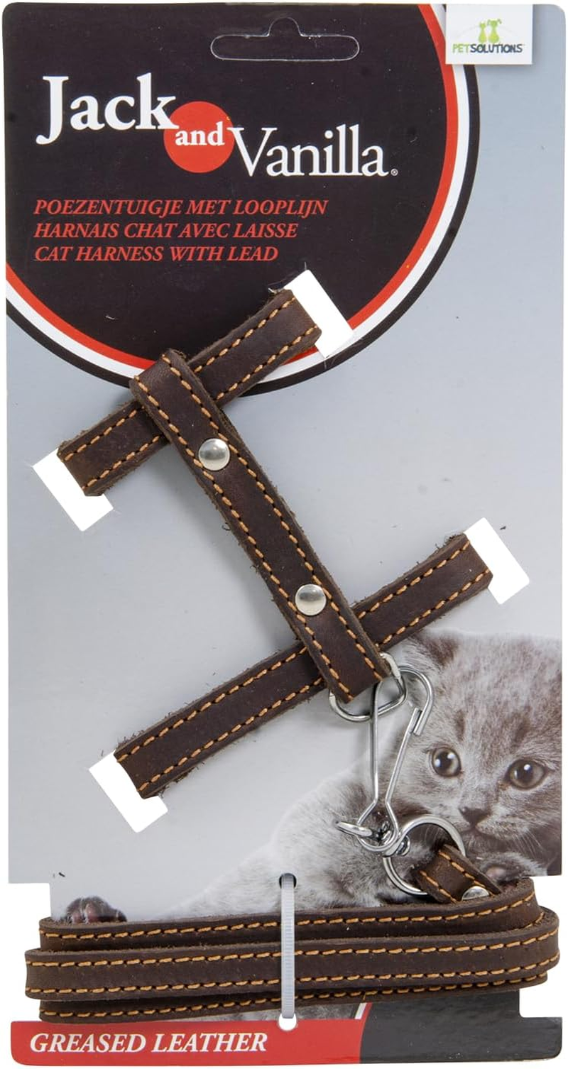 Jack and Vanilla, Oiled Leather Cat Harness with Red Leash, Custom Fit, Elegant Design, Optimal Comfort, Maximum Safety, Size 10 Mm, Red Colour, Pattern image number 6