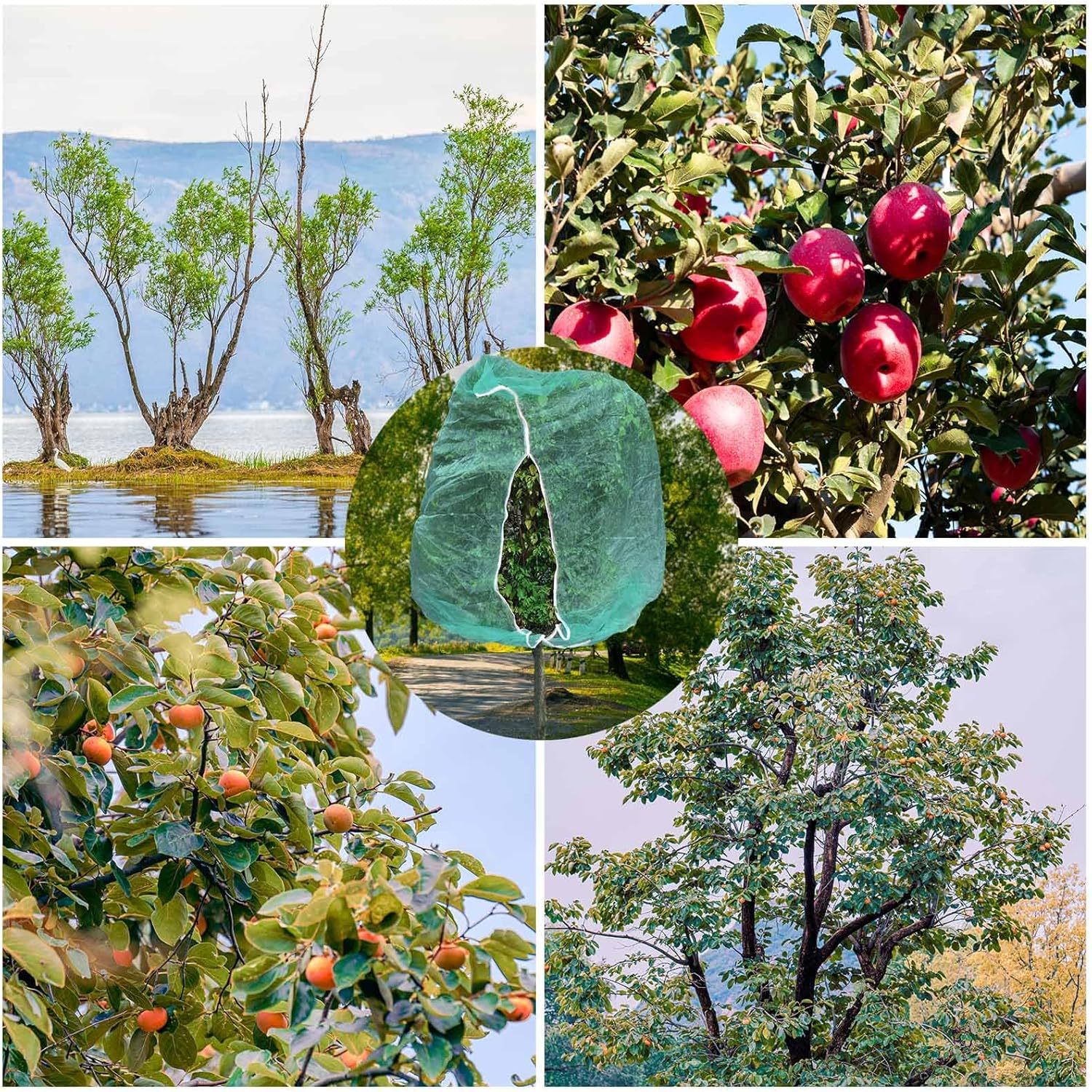 2Pcs 10Ftx10Ft Large Fruit Tree Netting Bags, Bird Netting Cover for Protect Plant Mulch with Zipper and Drawstring Lightweight Mesh Net for Garden Vegetable Bush Protection (Green) image number 3