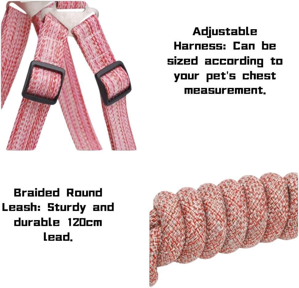 Premium No-Pull Dog Harness & Leash Set - Reflective Adjustable Step-In Vest for Small Medium Large Dogs (Pink, Large) image number 5