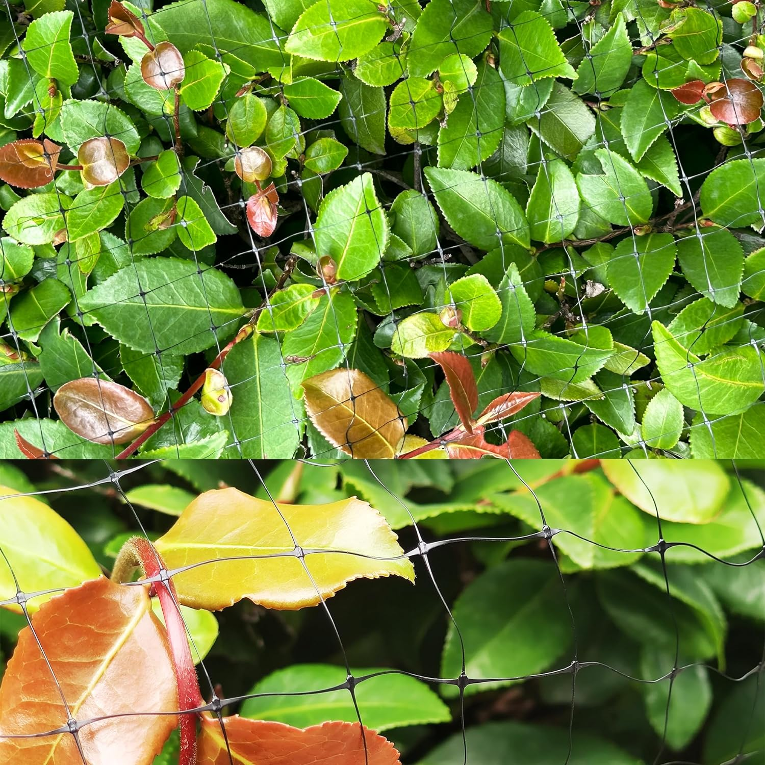 Bird Netting 7X20 Feet for Garden Protection, Temporary Reusable Fence Barrier anti Birds, Flexible Plastic Trellis Netting for Vegetables Fruit Flowers Crops Fence Cover.